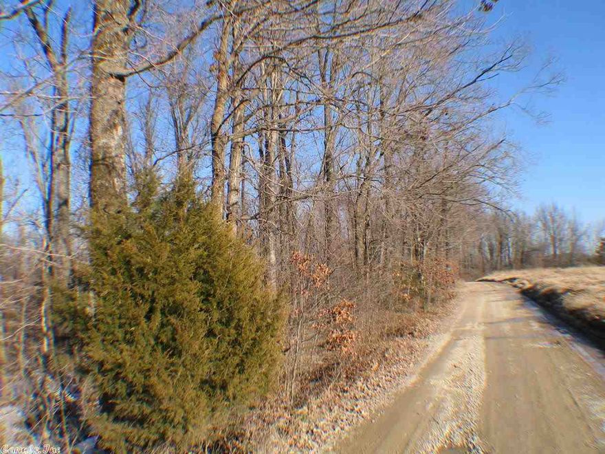 Great Place to build your dream home. Wooded lot in country subdivision.