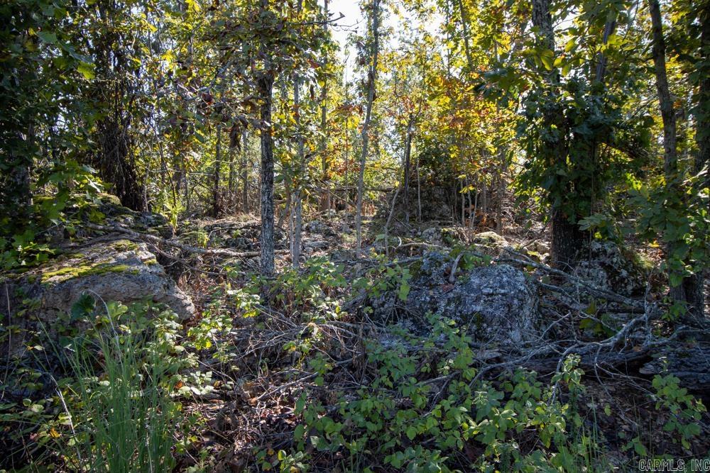 White River Valley - Land