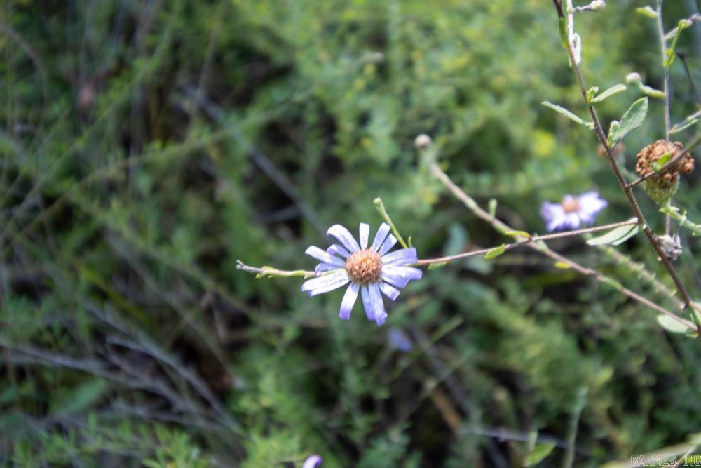 White River Valley - Land