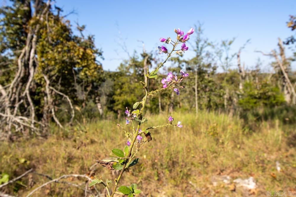 White River Valley - Land