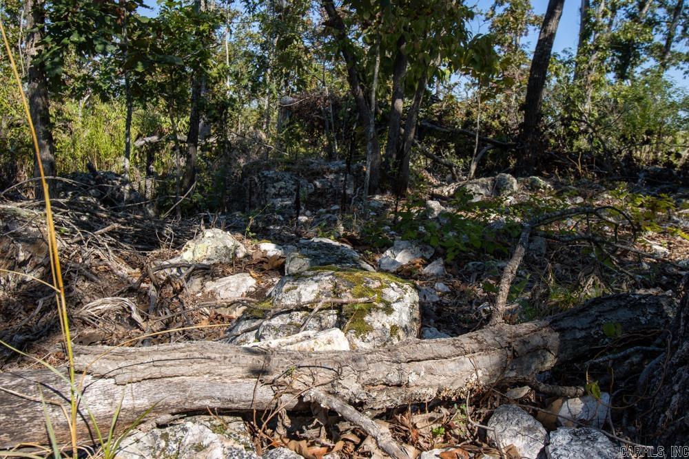 White River Valley - Land