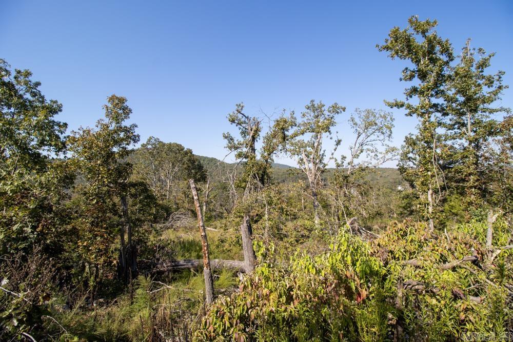 White River Valley - Land