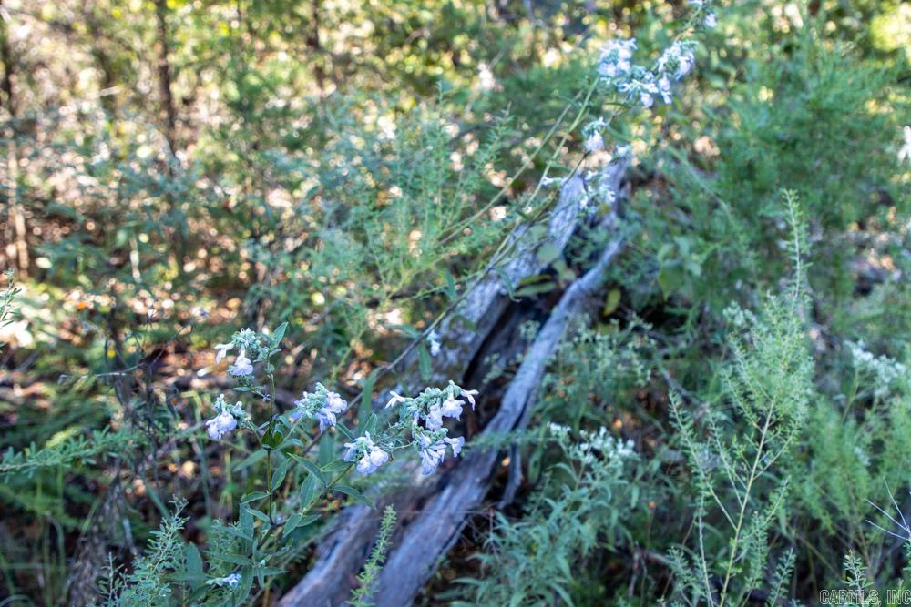 White River Valley - Land