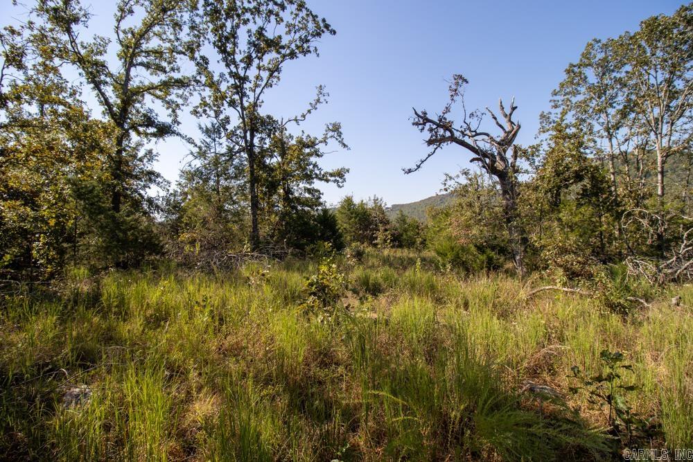 White River Valley - Land