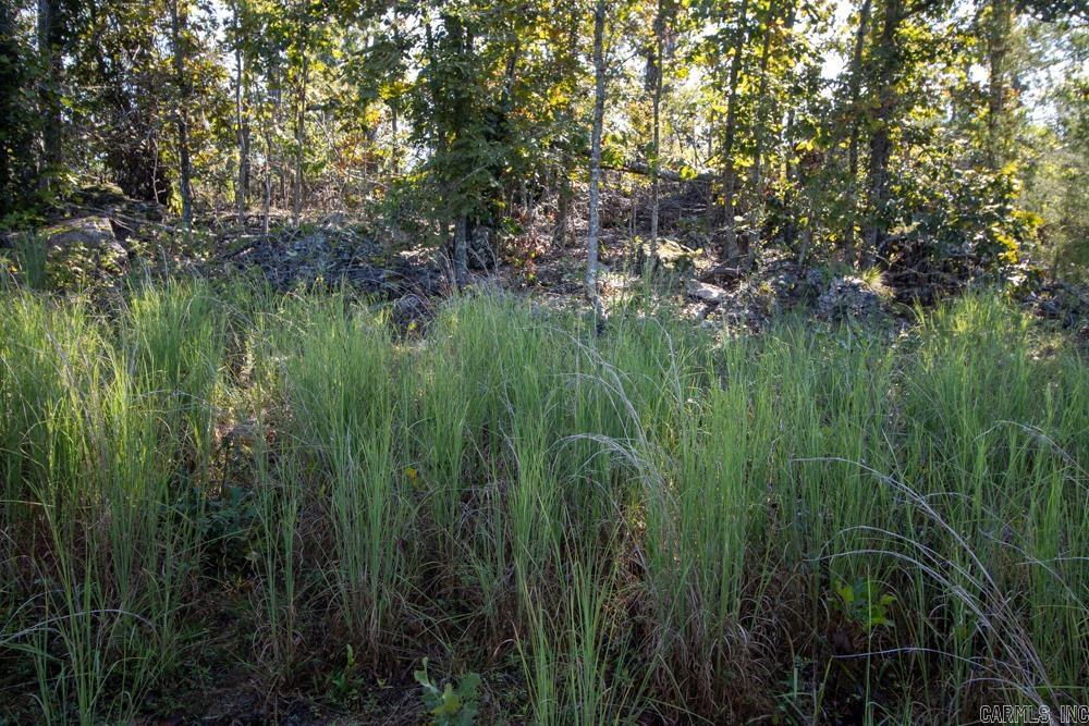 White River Valley - Land