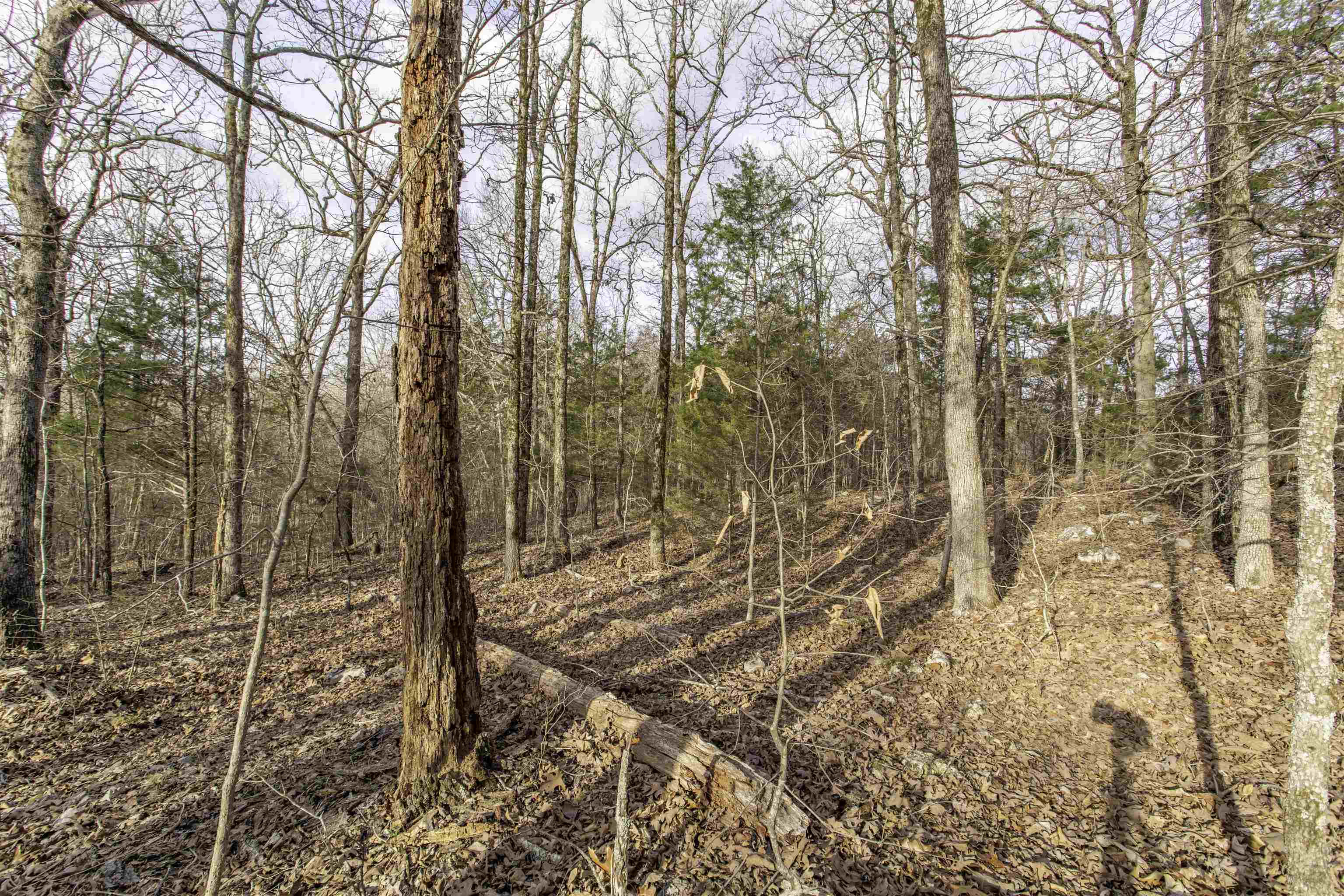 Wooded 3.34 acre tract in Hardy Arkansas, Your Ozark retreat awaits! Discover the perfect blend of tranquility and adventure with this stunning 3.34-acre property nestled in the heart of the Ozarks. Located in Hardy, Arkansas, this picturesque land offers a rare opportunity to own a piece of unspoiled natural beauty. Surrounded by rolling hills, mature hardwoods, and the peaceful sounds of nature, this property is ideal for those seeking a private getaway, a future homesite, or an investment in land. Whether youāre looking to build a cozy cabin or a dream home, this property provides endless possibilities. (Please note: RVs & Mobiles are not permitted.) Property Highlights: ⢠Size: 3.34 acres of pristine land ⢠Location: Hardy, AR ā a charming town known for its rich history, scenic beauty, and access to the Spring River ⢠Terrain: Gently rolling with a mix of open space and wooded areas ⢠Access: Easy road access for year-round enjoyment ⢠Utilities: Power nearby, well and septic may be needed ⢠Outdoor Recreation: Close to Spring River for fishing, kayaking, and floating, plus hiking and hunting opportunities in the surrounding Ozarks. All at an affordable price
