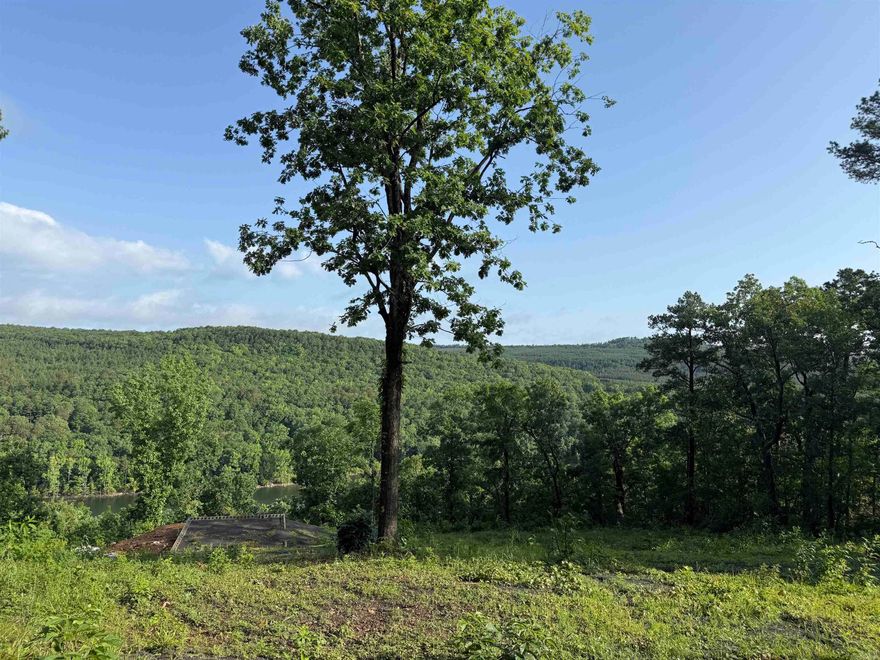 RARE find - Acreage and a view!  Must see this lot for its potential.  Quiet, rural neighborhood but only a short drive to Hill Creek Marina and Frontier Canyon. Road ends at property so no traffic.  The acreage is perfect for fitting septic system and well.