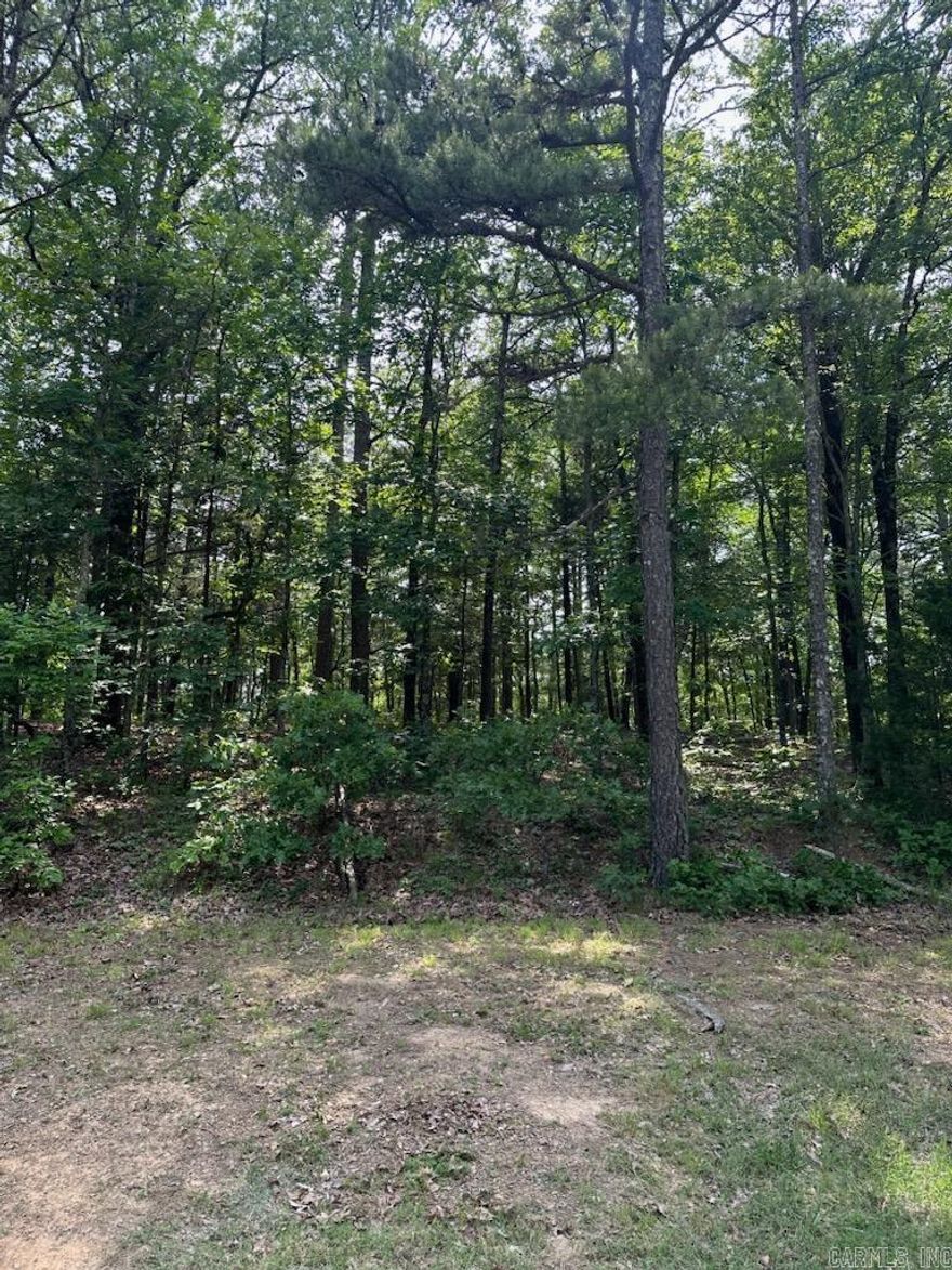 Welcome to your own slice of paradise in beautiful Fairfield Bay, Arkansas! This spacious vacant lot offers the perfect opportunity to build your dream home in one of the most desirable locations in the state, with access to a wealth of amenities.  Just minutes away from stunning Greers Ferry Lake. Whether you're an avid fisherman, boater, or simply enjoy relaxing by the water, this location has something for everyone. But that's not all Fairfield Bay also offers a wide range of amenities to its residents, including 3 swimming pools, 2 18-hole golf courses, hiking and biking trails, ATV/UTV trails, pickleball and tennis courts, and a full-service marina. Whether you're looking for outdoor adventure, a friendly game of tennis, or a relaxing day by the pool, Fairfield Bay has you covered. The lot itself is generously sized and offers plenty of room for your custom-built home, as well as any additional amenities you desire. With easy access to utilities and services, including water, sewer, and electricity, you'll have everything you need to make your dream a reality. Buyer to pay all closing costs and title insurance.