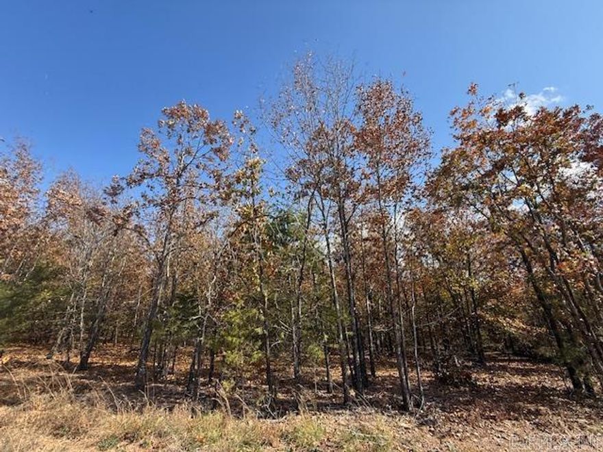 Wooded lot perfect for building your home or building a home to sale.  You could leave trees at the back of the lot for privacy.  All utilities are on the property. 1200 sq. ft. minimum