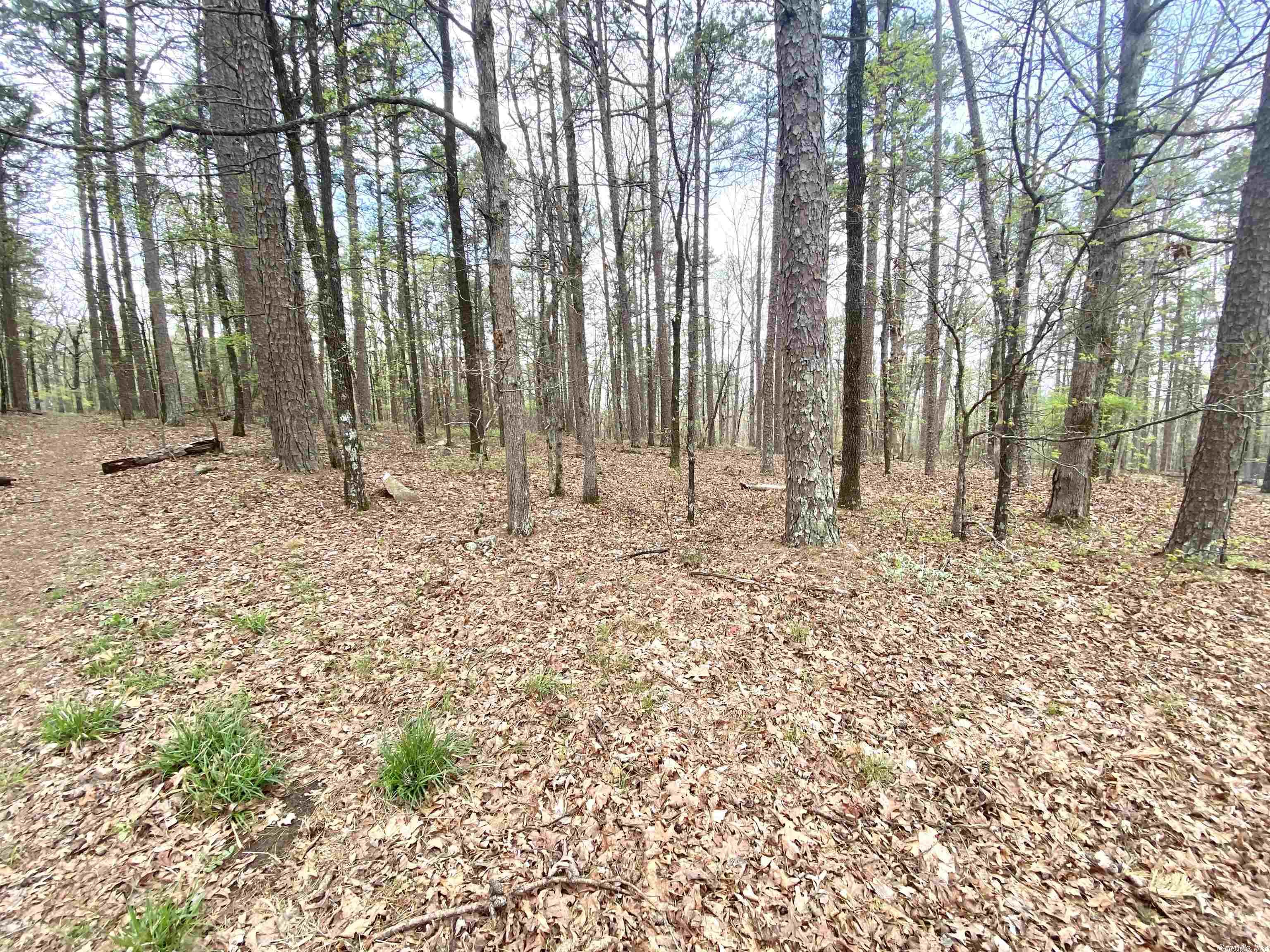 If you're looking for a buildable lot in a quiet neighborhood, you'll want to come see this one for yourself. Situated at the end of a cul-de-sac near the West gate of Hot Springs Village you'll find a level lot with minimal trees. In Hot Springs Village, you're never more than a few minutes away from one the 12 lakes and 9 golf courses. With over 26,000 acres of nature around you, this is a place you will want to call home.