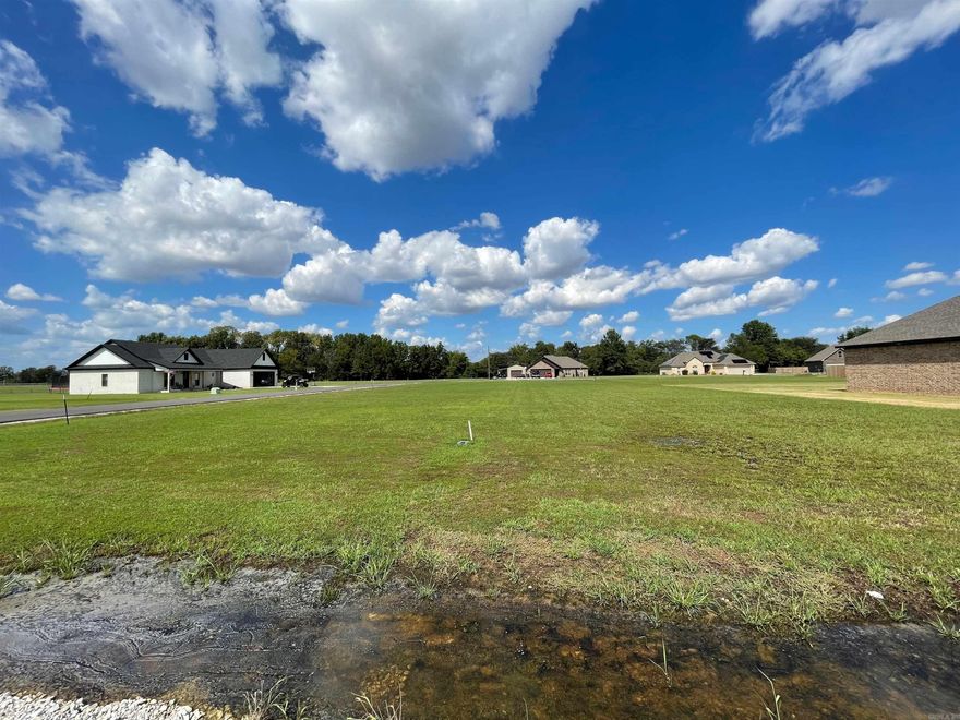 Welcome to Dove Heights!! Lot 17 is a beautiful, large corner lot in the Dove Heights Subdivision of Walnut Ridge! Being 0.319 acre (+/-), this lot has ample room for you to build your new home and still have a generous-sized yard! Call today for more information!