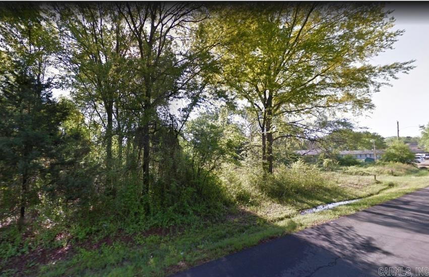 Here is your chance to own a buildable lot in one of Arkansas’ most charming and steadily growing communities. The lot is within Russellville city limits, walking distance to schools and churches, and a short drive to Lake Dardanelle. Zoning allows for medium density residential, but its size would be best suited for a single-family home. City water and sewer available on the street! Whether you’re ready to build now or invest for the future, this property checks all the boxes.