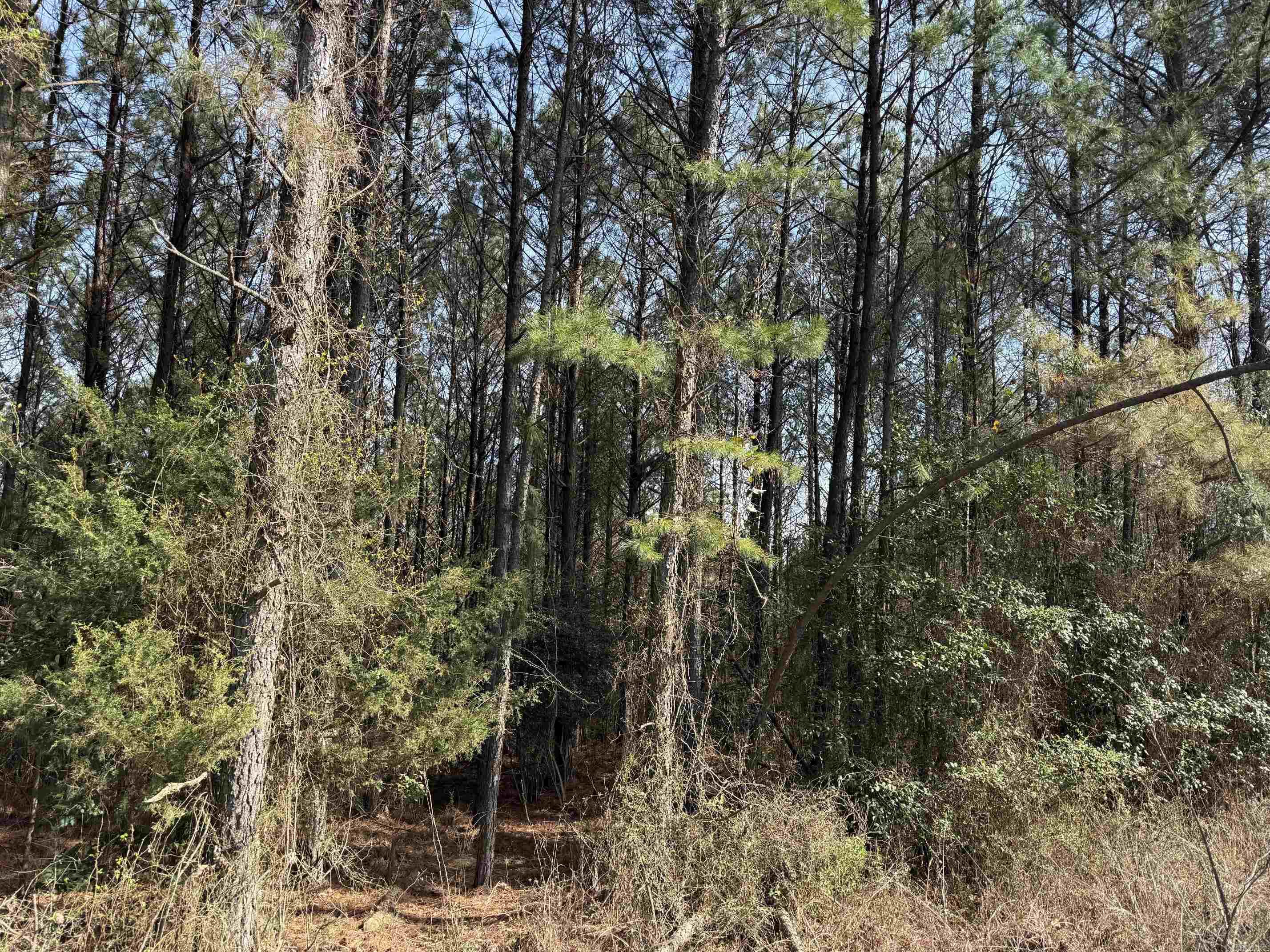 Metes & Bounds - Land