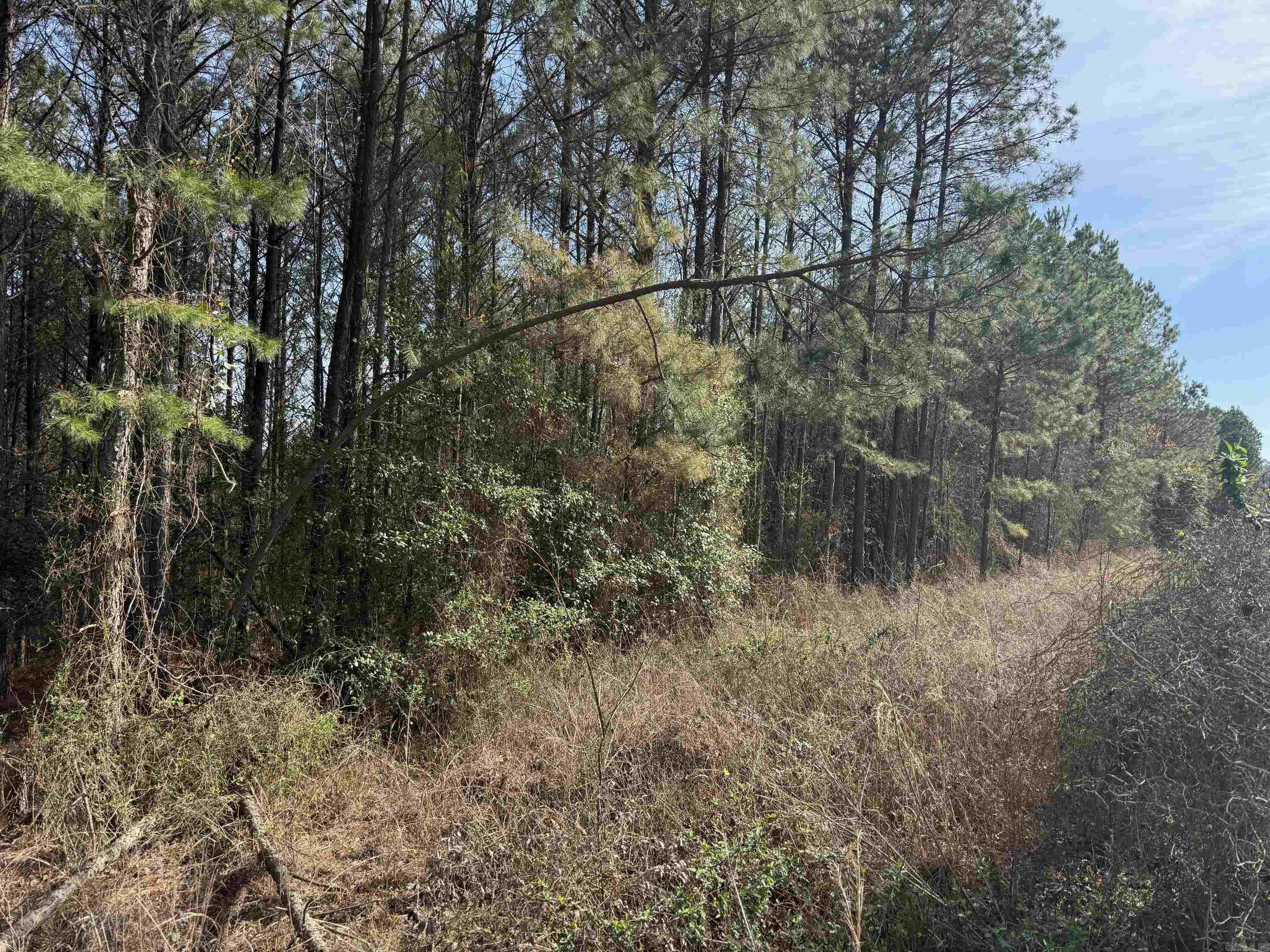 Metes & Bounds - Land