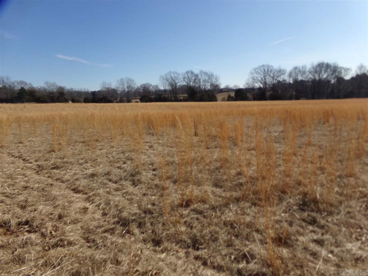 Metes & Bounds - Commercial Sale