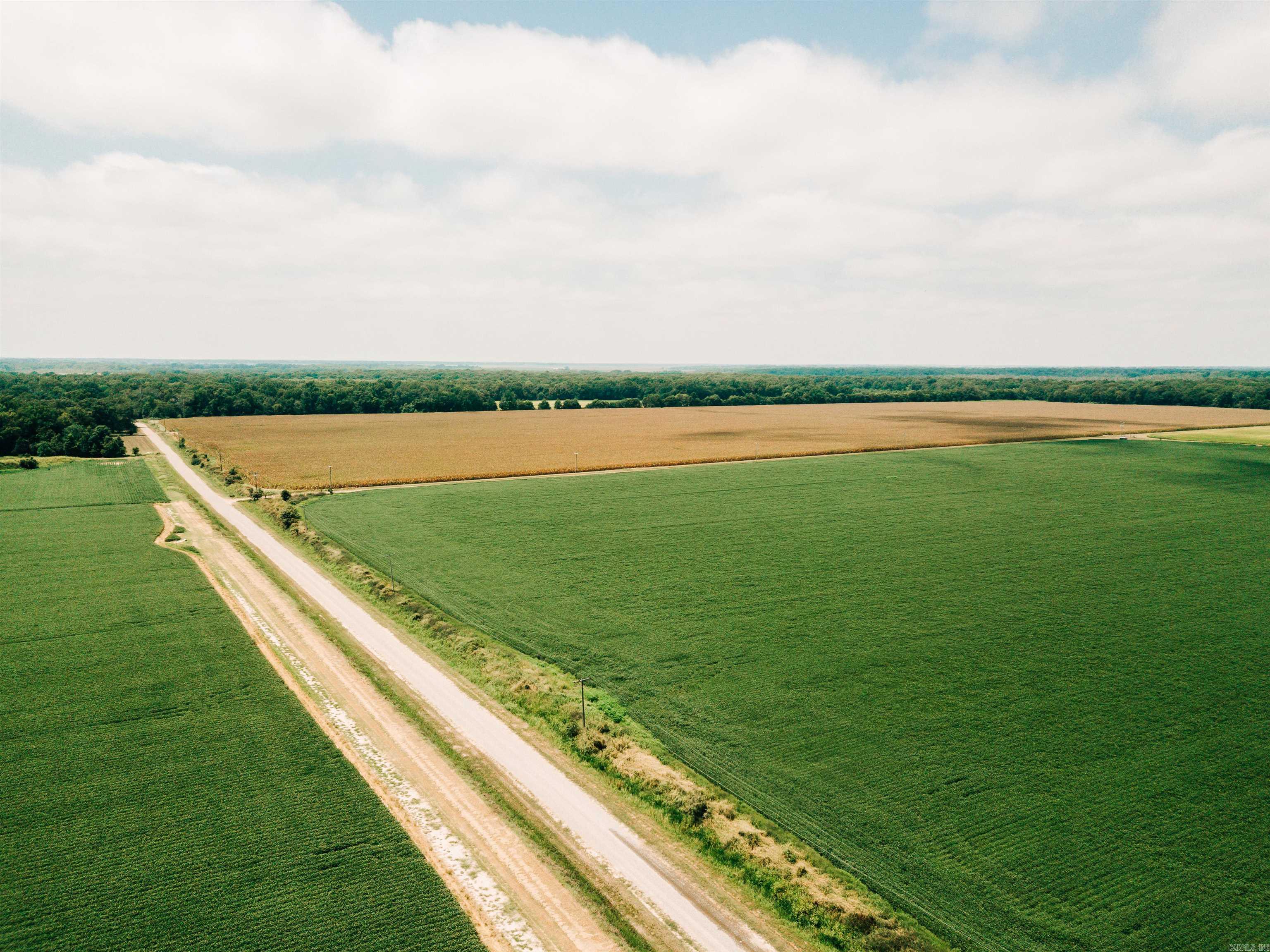The Gillett 1,000 is located between DeWitt and Gillett on Bell Road. This farm is known for being a high yield farming operation as well as a great hunting tract. Waterfowl and deer are plentiful in this area throughout the season. There are three wells on this farm, including a ten inch well that provides the majority of water for the farm. In addition there are three re-lift pumps that are used to pump water back onto the farm as well. Farm tracts of this size do not come to the market often, with great hunting and income. Come and see this one before it's gone!