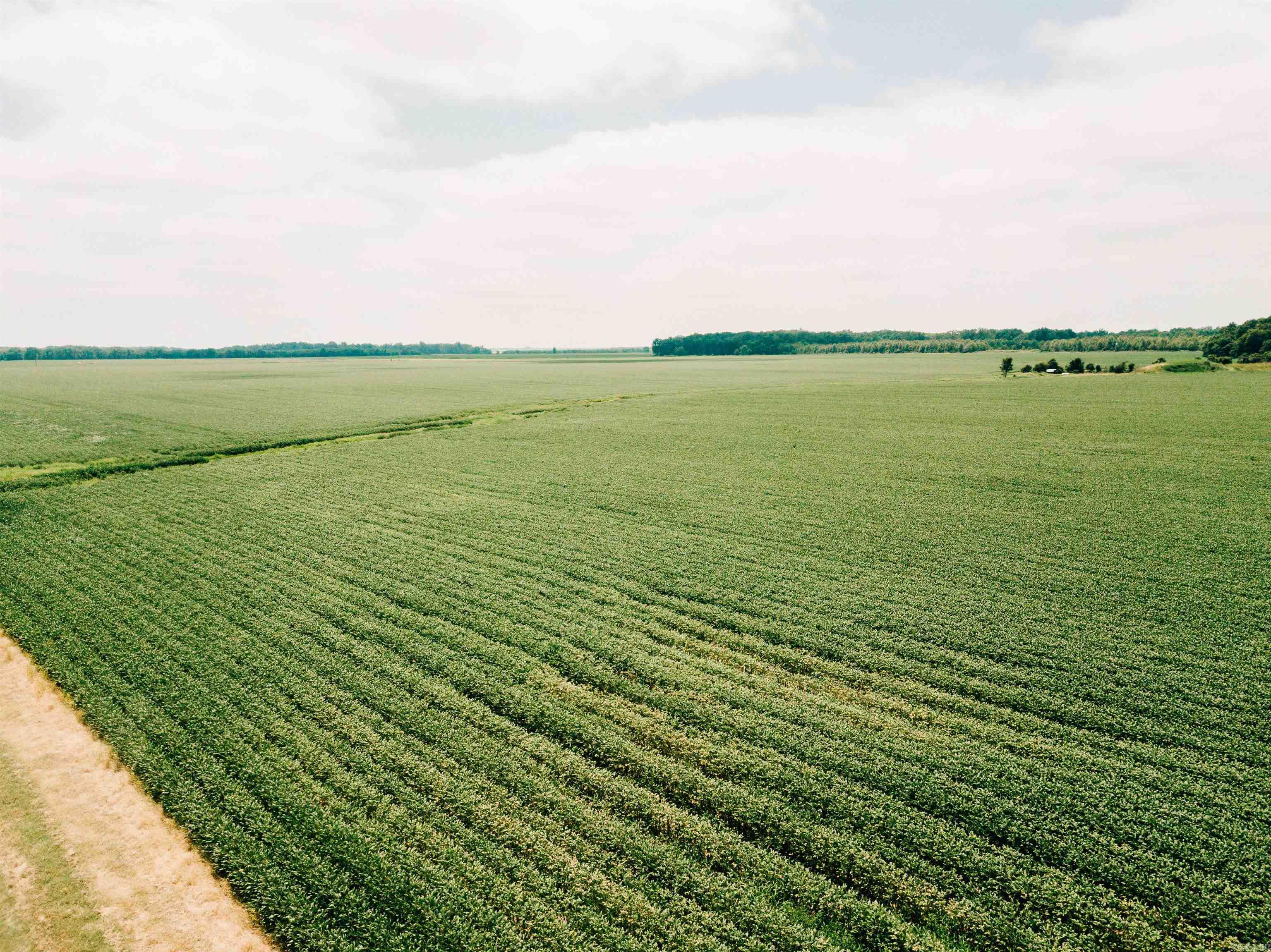 Not in Subdivision - Farm