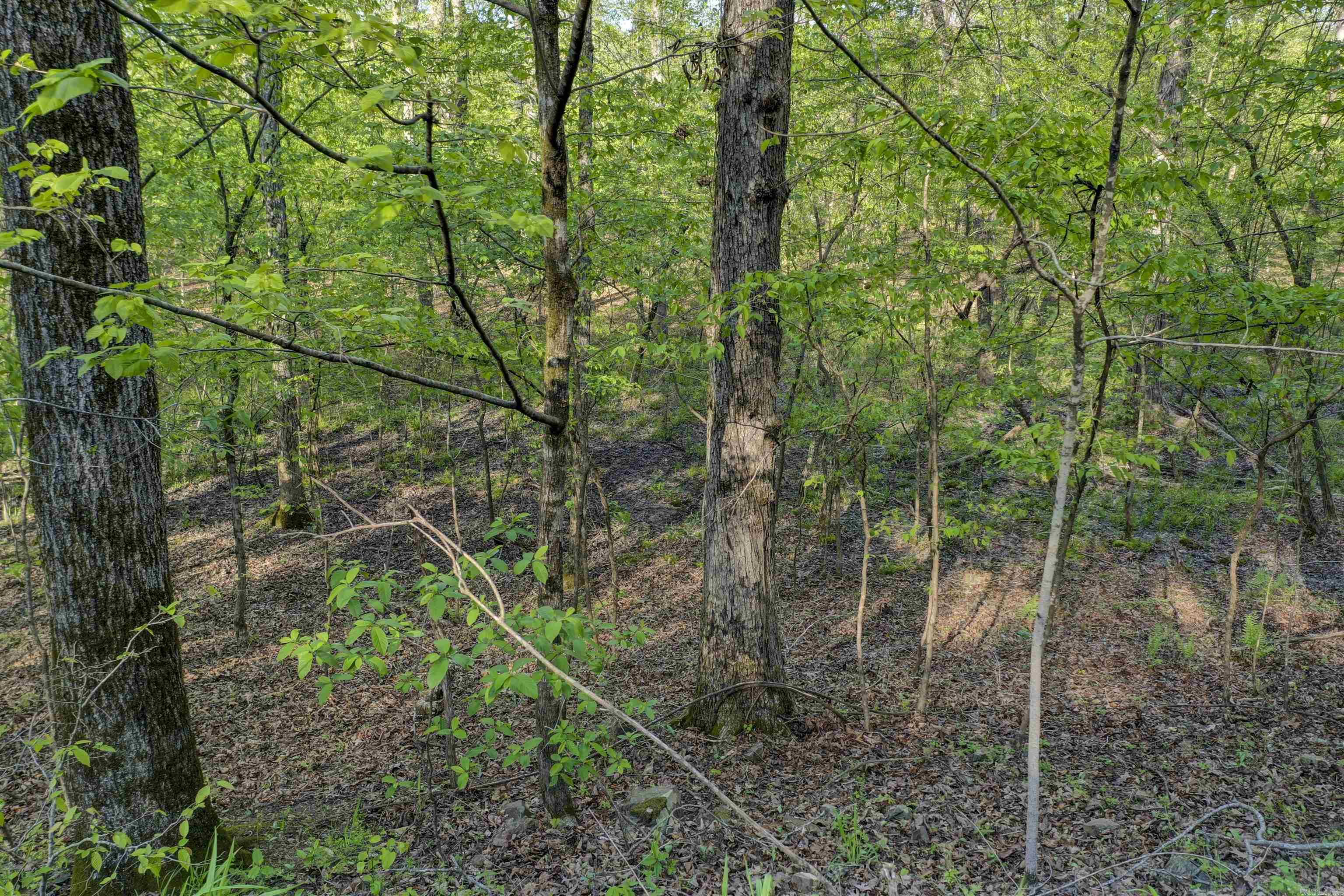 Lake Catherine Lakeview - Land