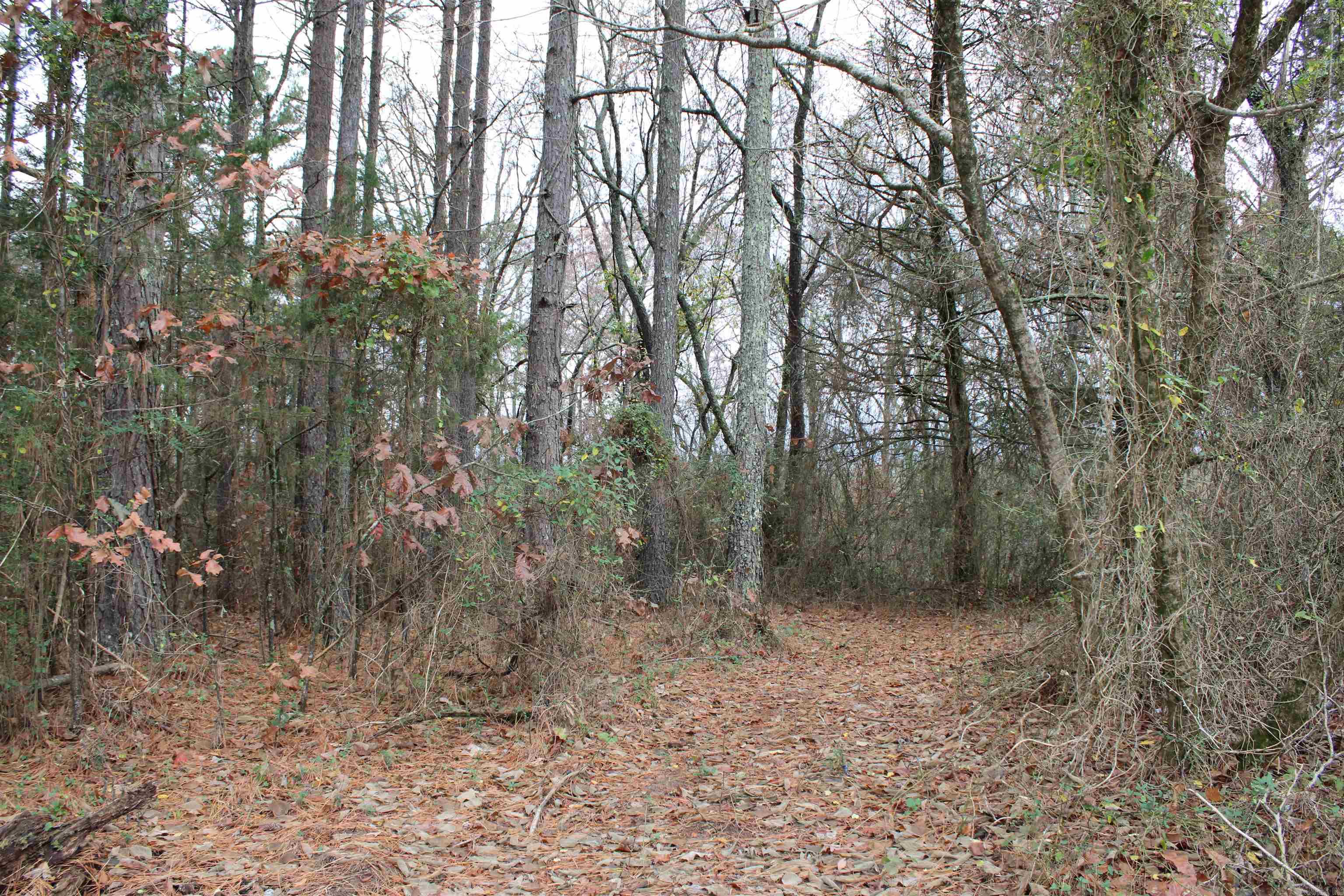 Metes & Bounds - Land