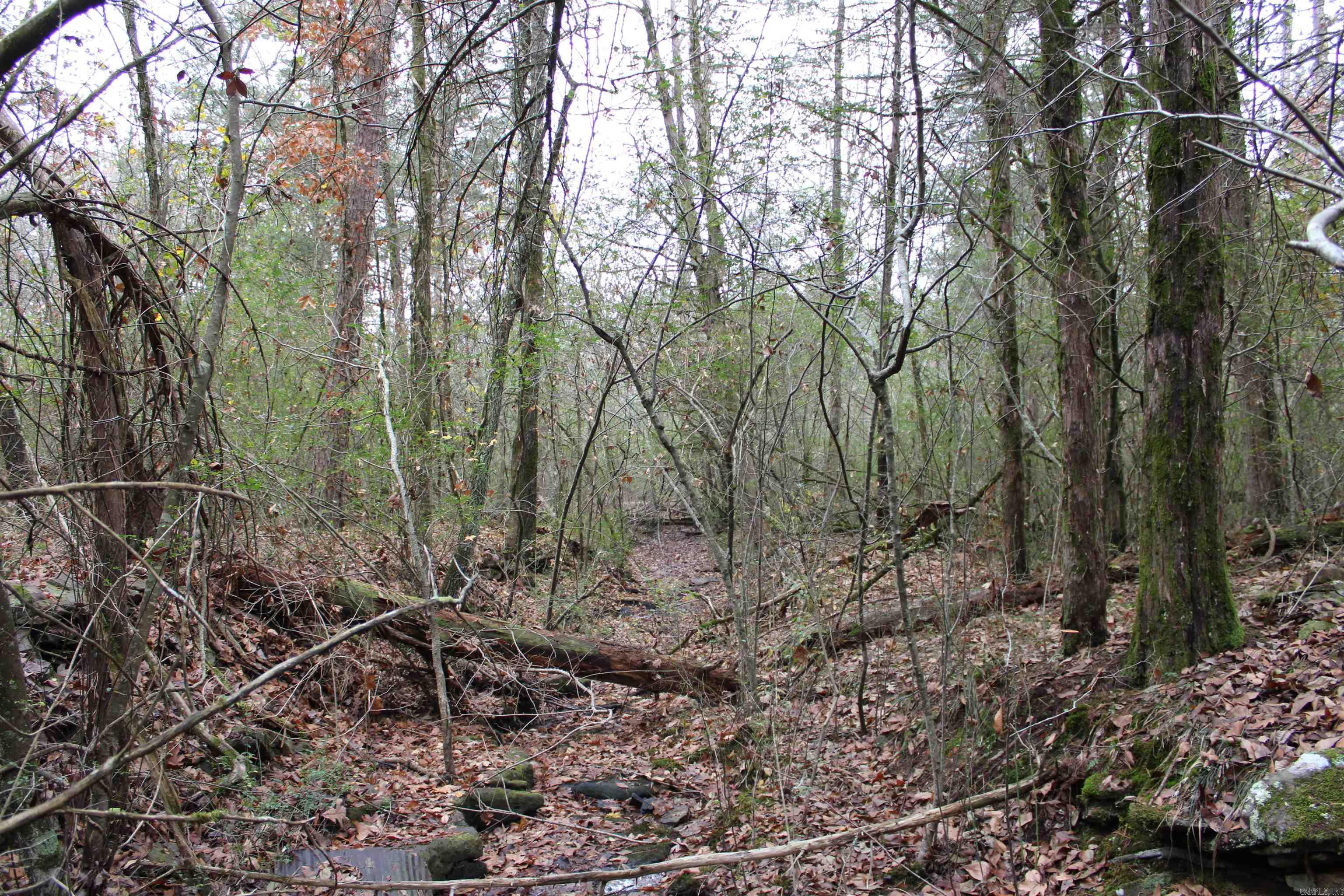 Metes & Bounds - Land