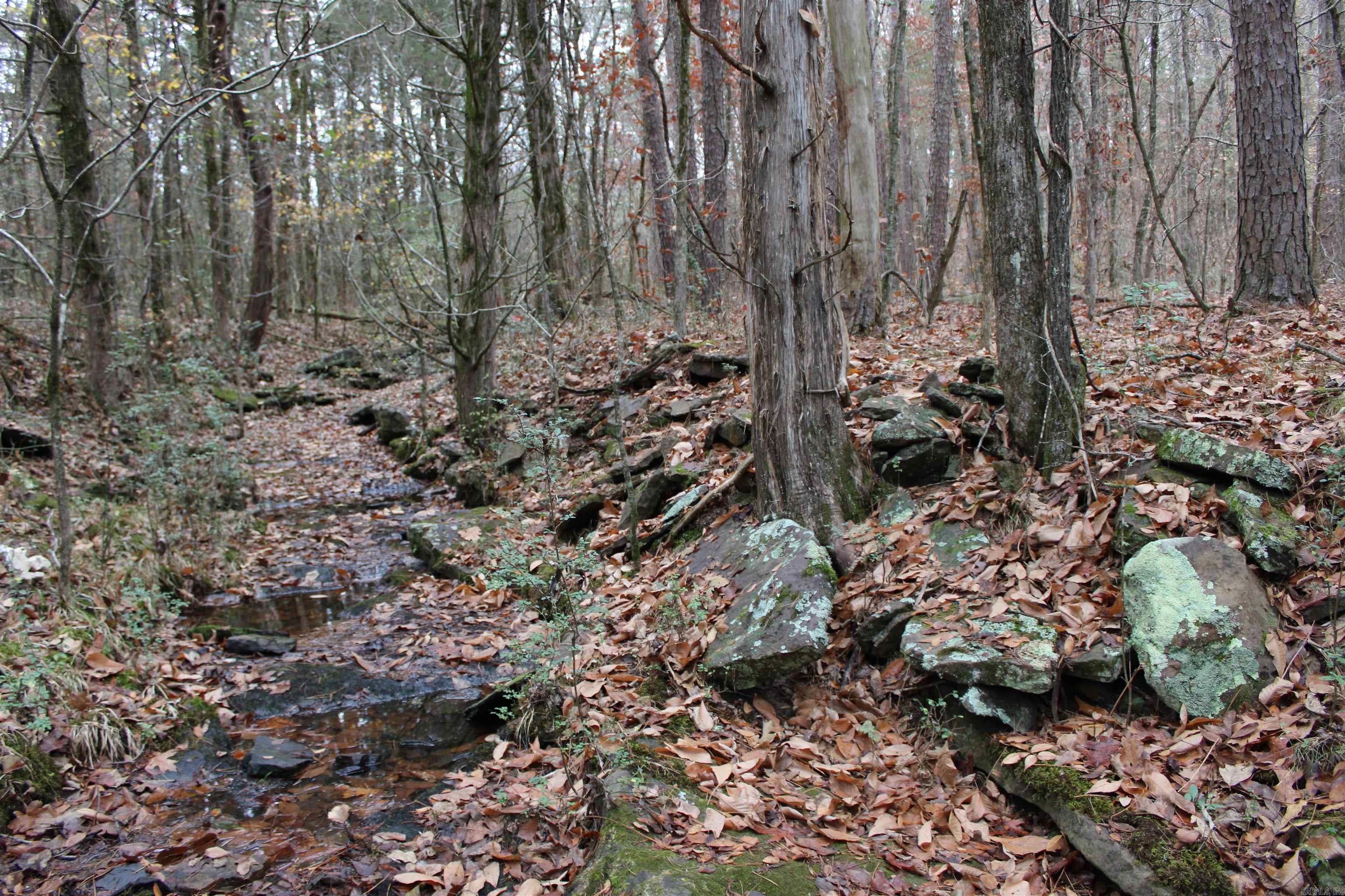 Metes & Bounds - Land