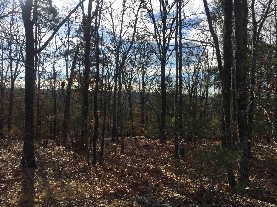 Rural living just minutes from town.  GREAT HUNTING property if you like deer and turkey. This connects  up to a 160 acre hunting club. Great place for a cabin.  Wooded lot with city water and privacy. Has a creek close at the west side