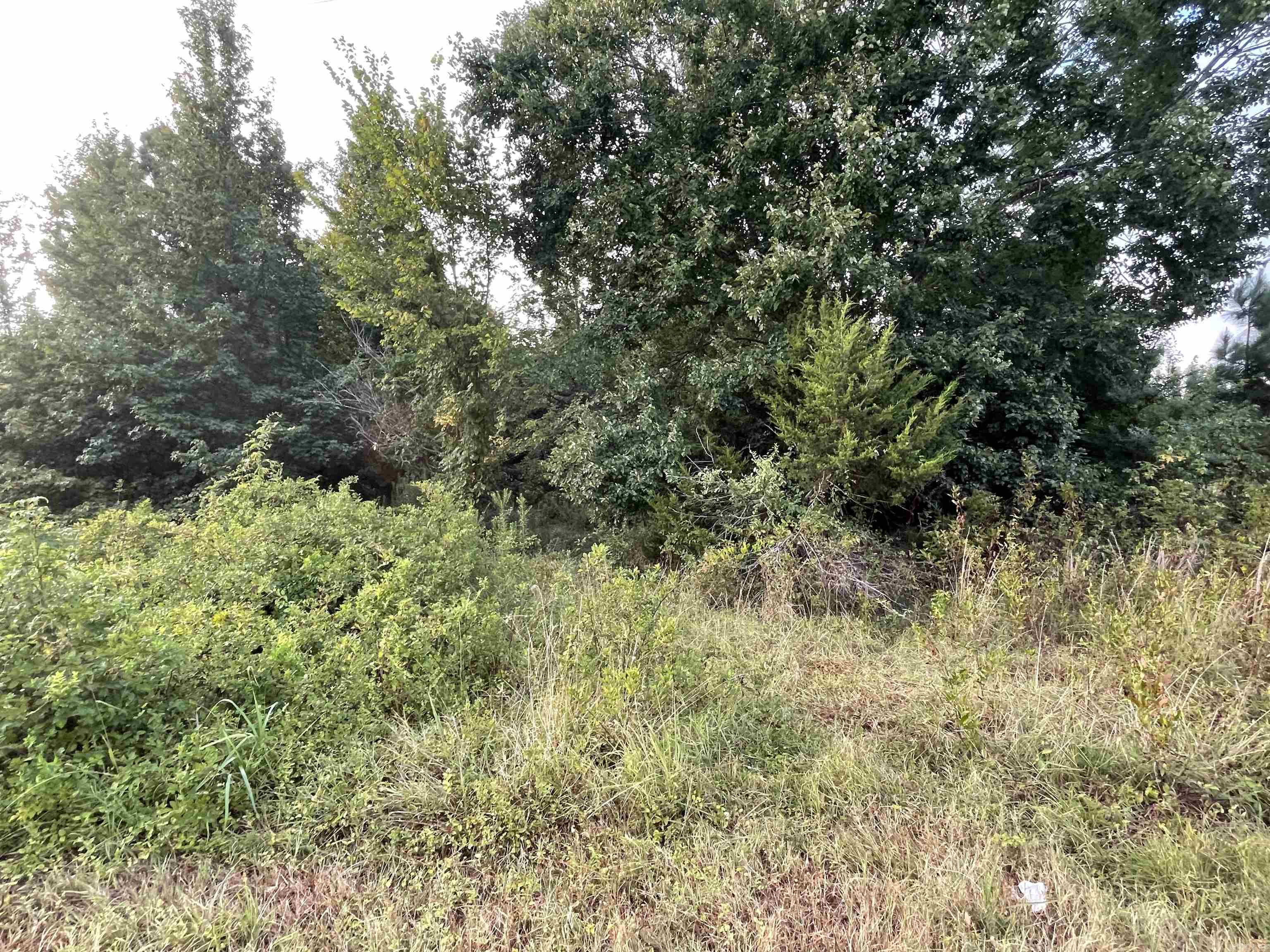 Black Oak Ranch Estates - Land