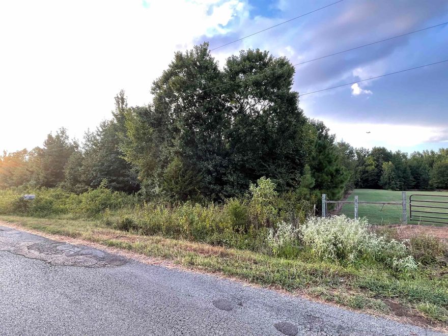 Looking for a great piece of land to make your own??  HERE IT IS!! This property is wooded and private but could be cleared to make some great pasture!  Loads of options!!!  Creek runs through the back of the property!!