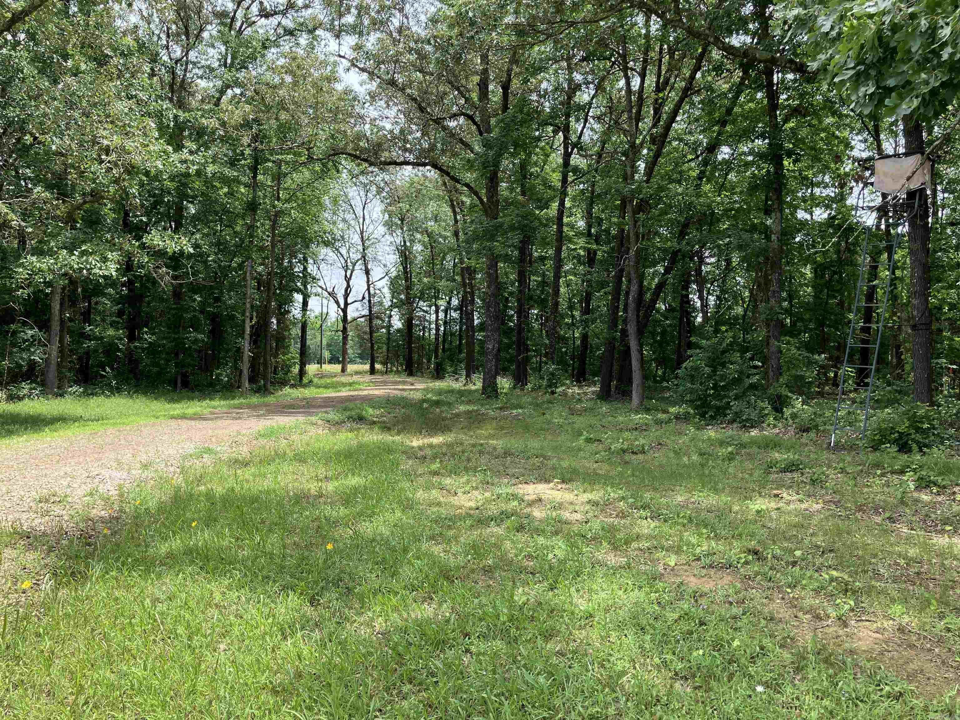 Amazing secluded property! Whether you are looking for a place to build or a place to hunt, this property is for you. A new access road has been put in, and water and electric are also in place. There are 3 open fields. You could build in the first field, and hunt in the back two. Lots of deer, and many trophy bucks have been spotted on this land. As an added bonus, Pine Creek runs through the back part of the property. Mobile homes allowed. No restrictions. 210 ft. of highway frontage on Hwy 167. Don't let this one pass you by! Agents, see remarks.