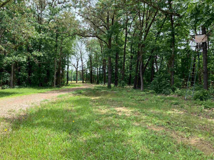 Amazing secluded property!  Whether you are looking for a place to build or a place to hunt, this property is for you.  A new access road has been put in, and water and electric are also in place.  There are 3 open fields.  You could build in the first field, and hunt in the back two. Lots of deer, and many trophy bucks have been spotted on this land. As an added bonus, Pine Creek runs through the back part of the property. Mobile homes allowed. No restrictions.  210 ft. of highway frontage on Hwy 167. Don't let this one pass you by! Agents, see remarks.