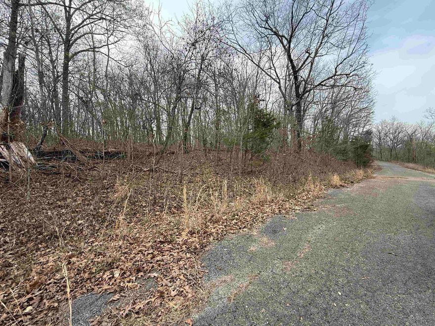 Wooded lot on top of the hill overlooking Lake Sherwood in Hardy Arkansas. There is great potential here for a new family home or vacation home. Located in Beautiful Spring River country! Old Hardy Town offers shopping, restaurants, live entertainment, parks, and kayak or canoe rentals.