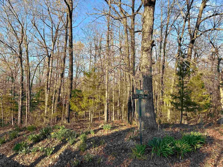 3 lots in the Glen Cove Subdivision in Lakeview, Arkansas. Near Bull Shoals Lake and Mountain Home. .89 acres total. Lots 40, 41, 42. Water and Electric available. 1400 sqft minimum to build, no mobiles or RV as permanent residence.