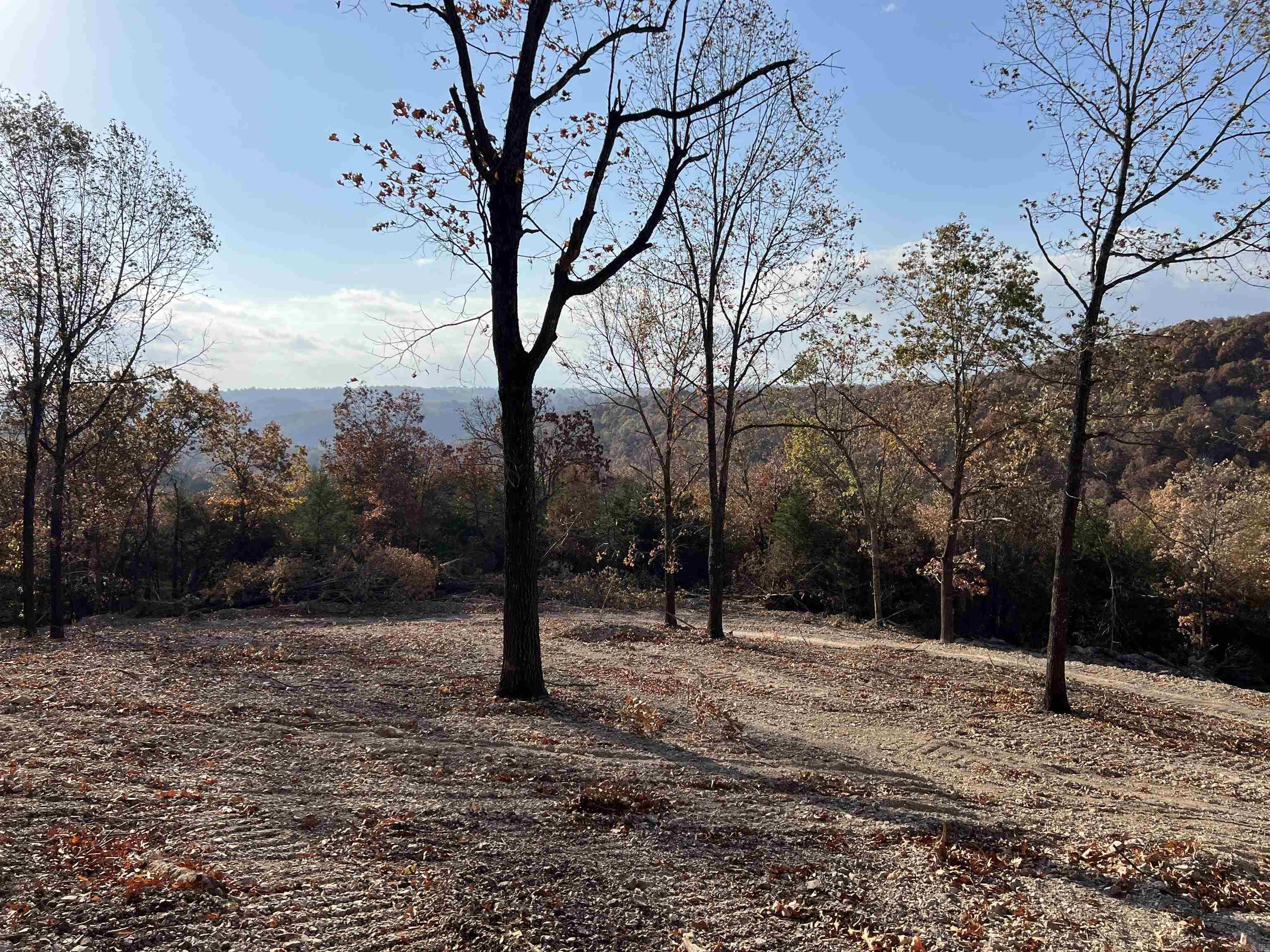 Fantastic View!! The property features a secluded building site with lots of hardwood trees, no property restrictions, and electric is available. Call today to schedule a showing.
