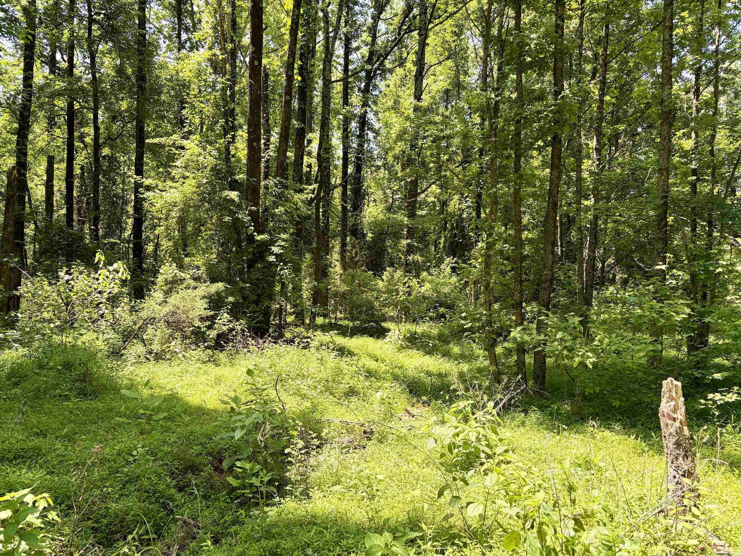 Not in Subdivision - Land