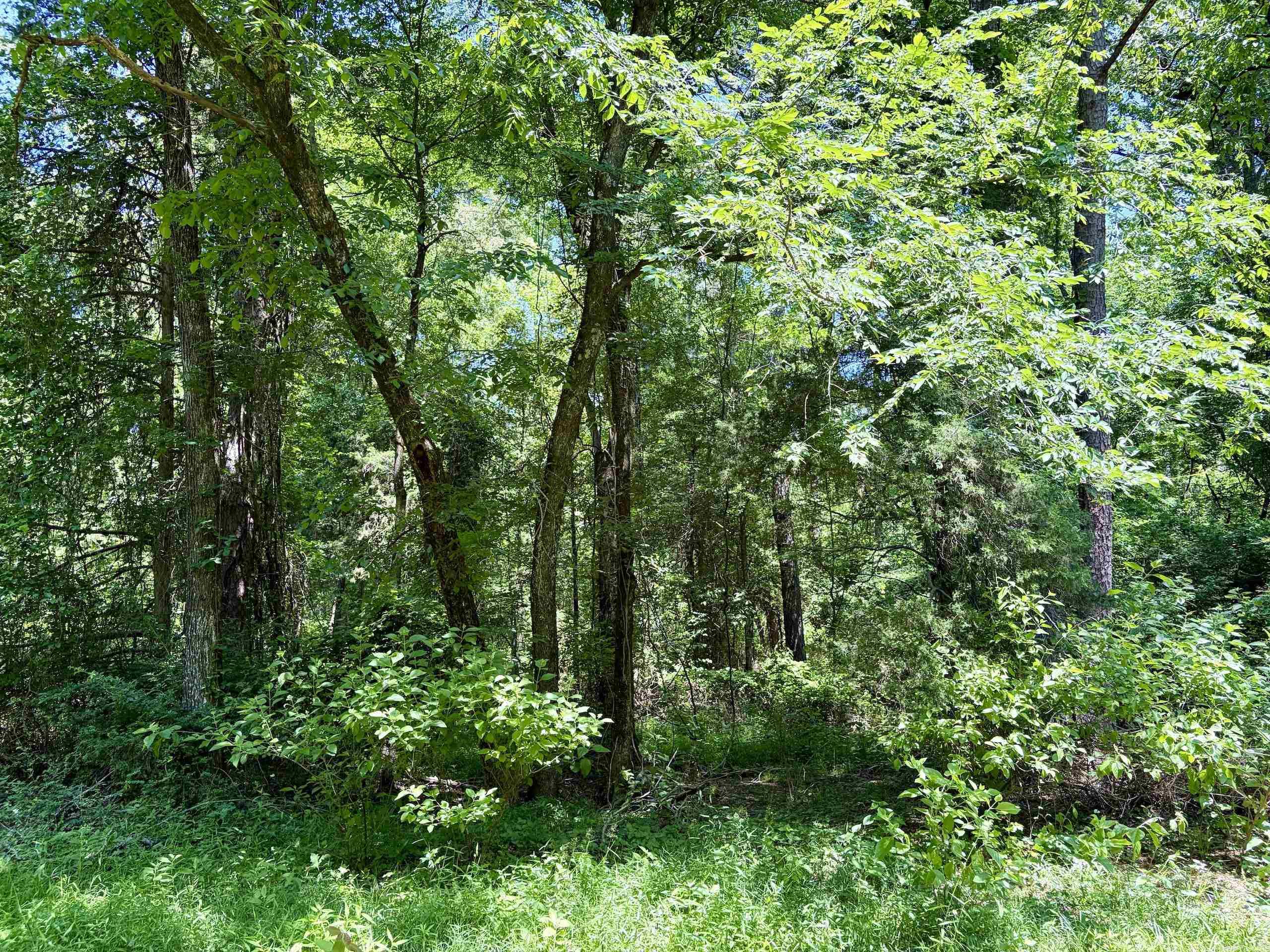 Not in Subdivision - Land