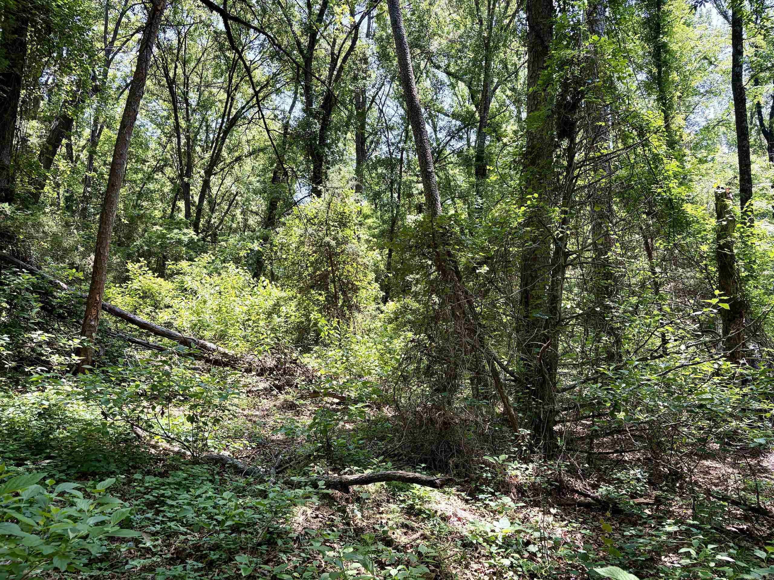 Not in Subdivision - Land