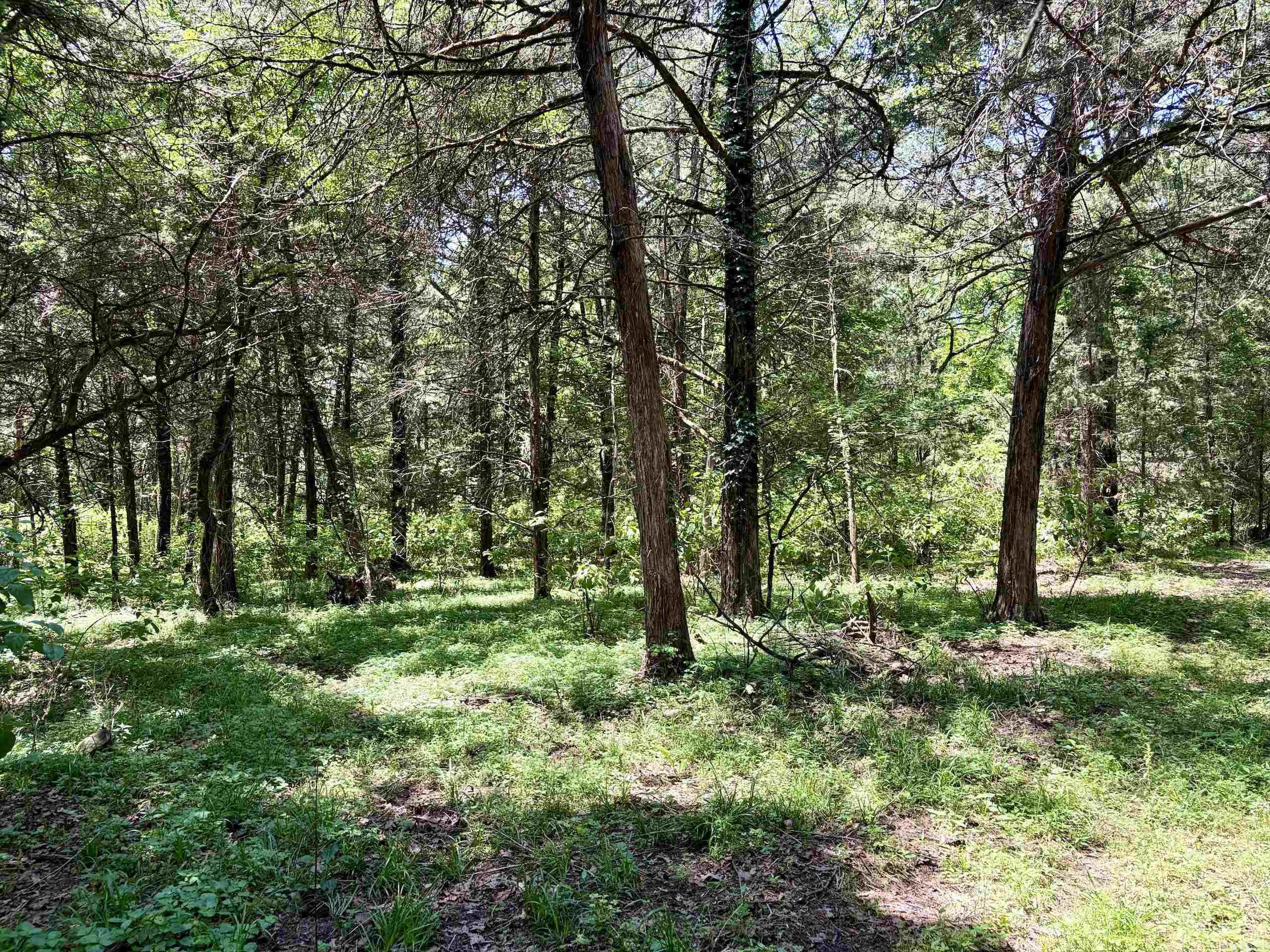 Not in Subdivision - Land