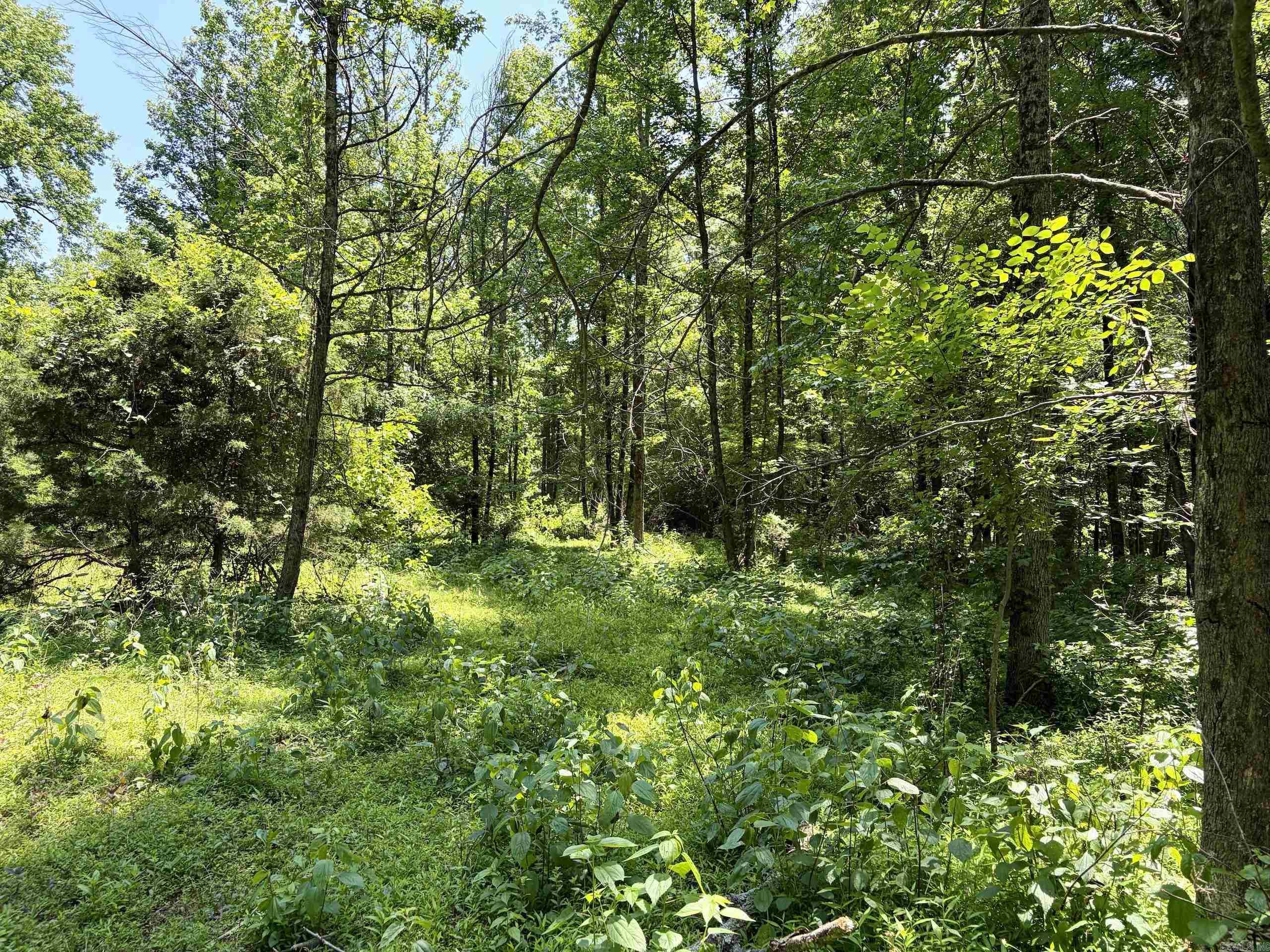 Not in Subdivision - Land