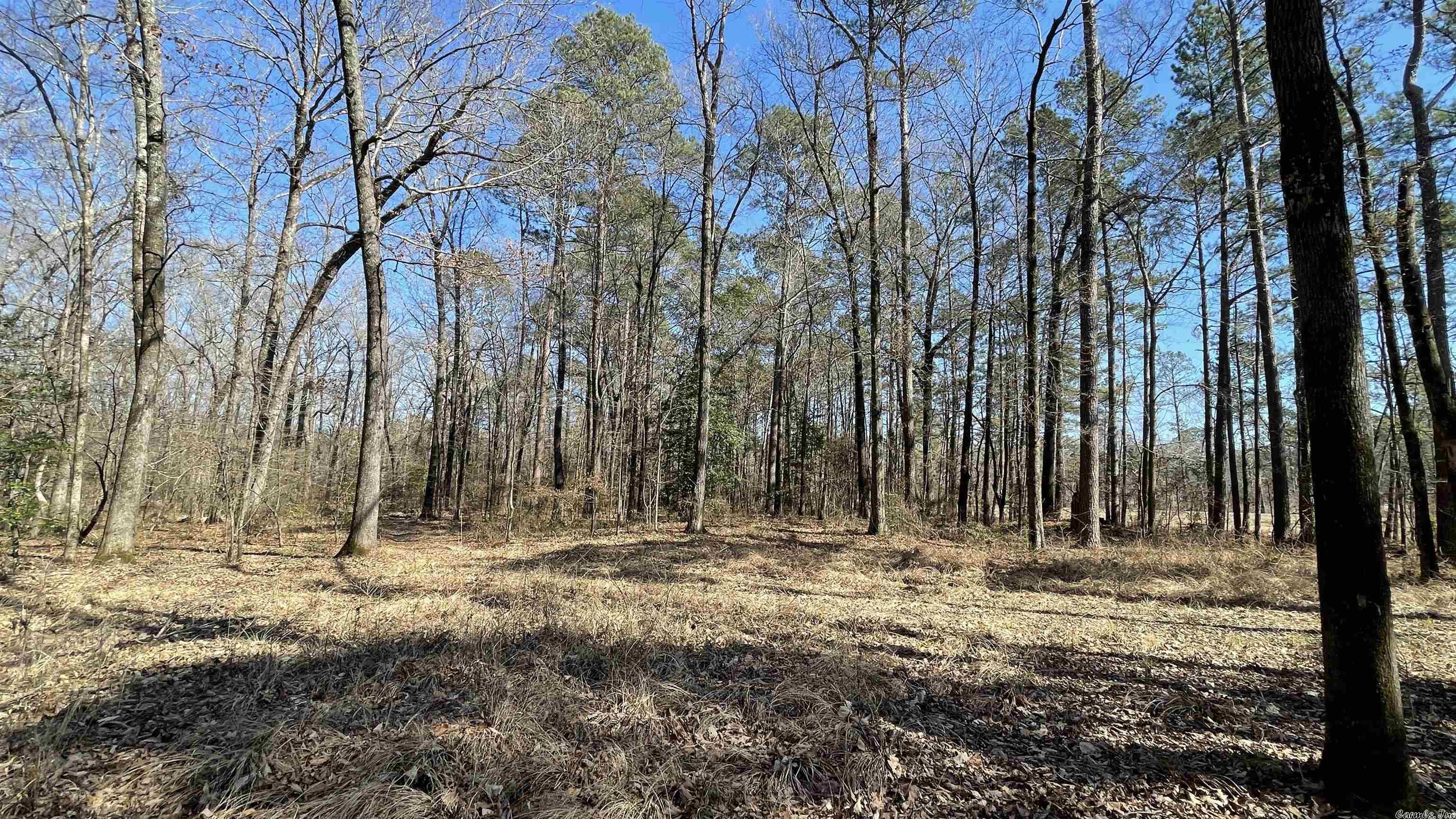 Metes & Bounds - Land