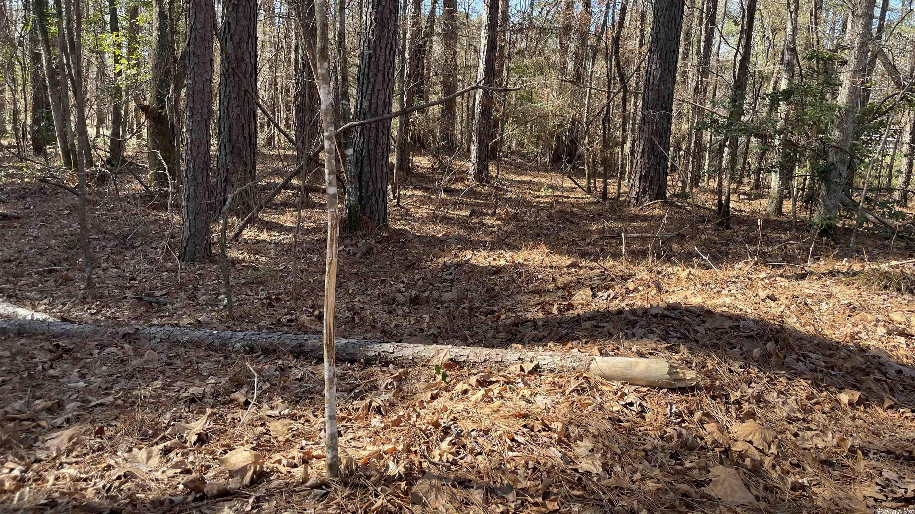 Metes & Bounds - Land