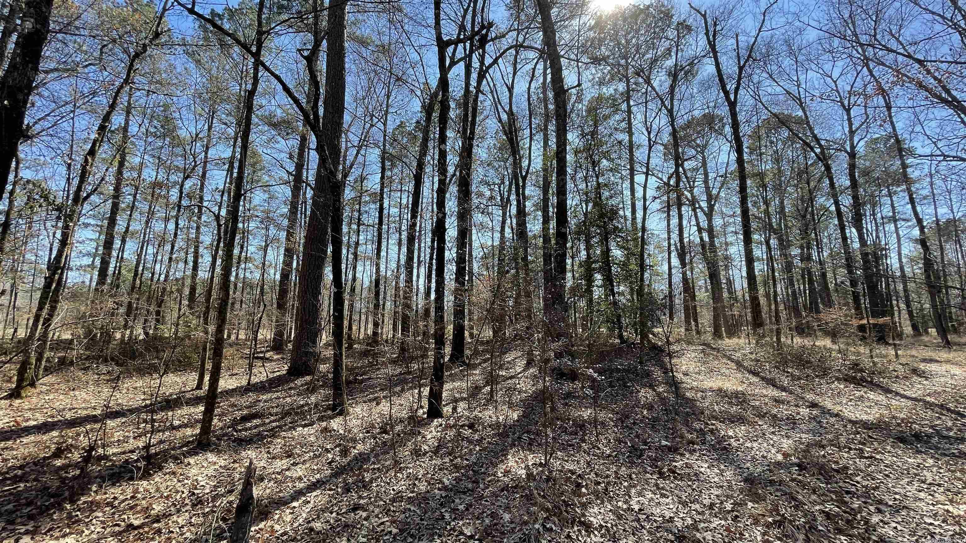 Metes & Bounds - Land