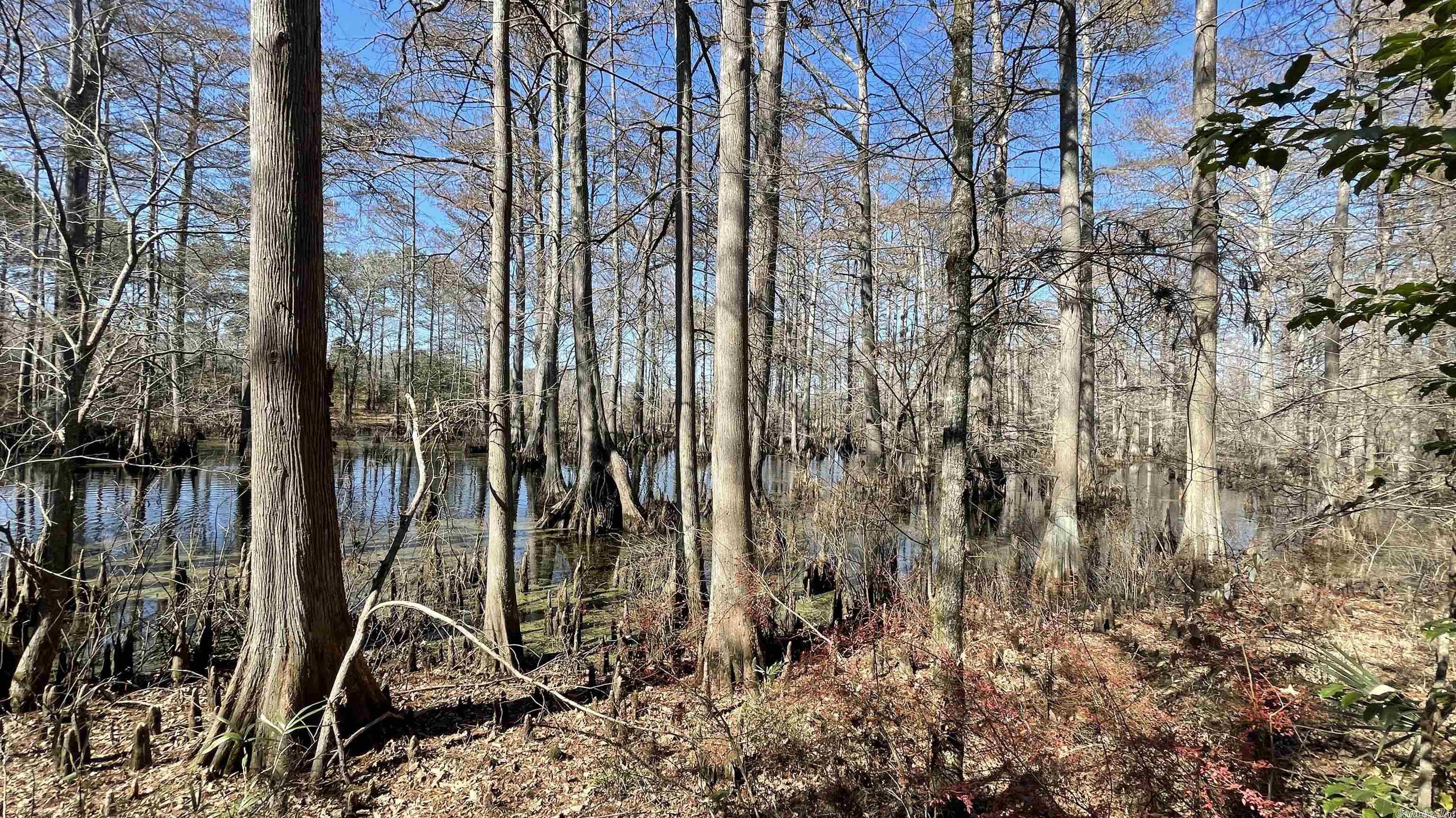 Metes & Bounds - Land