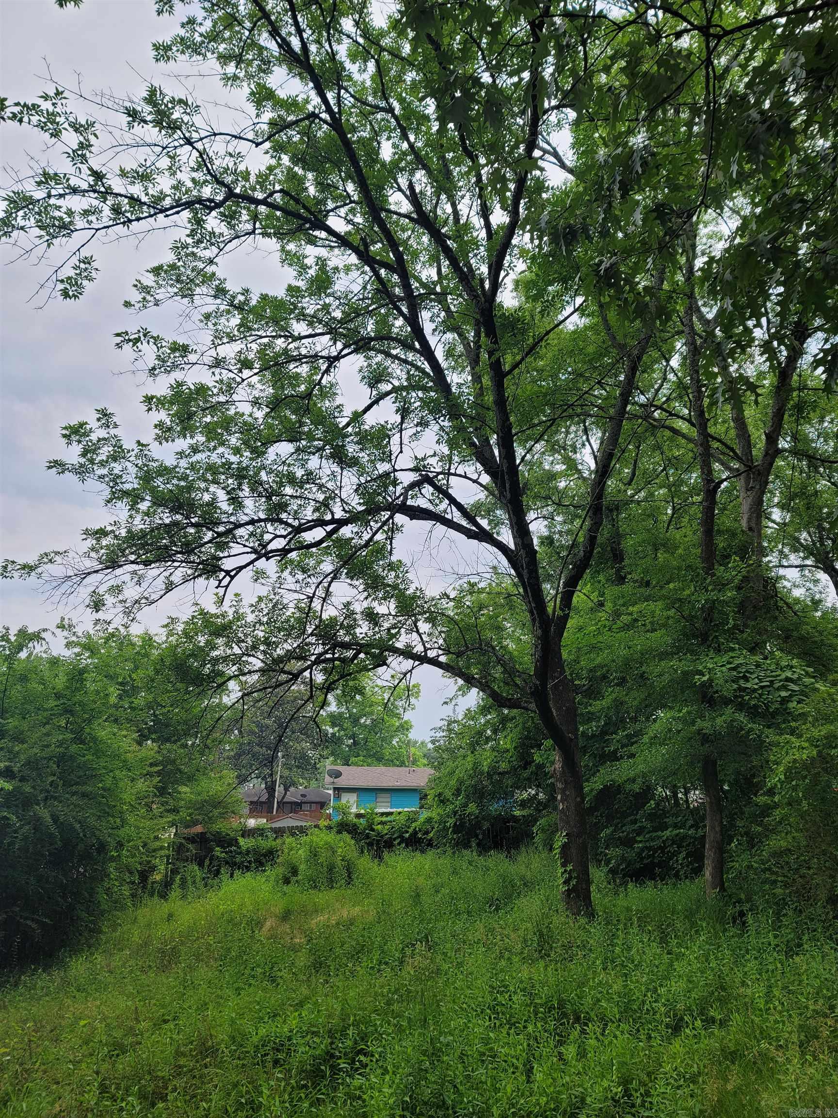 Carson Park - Residential