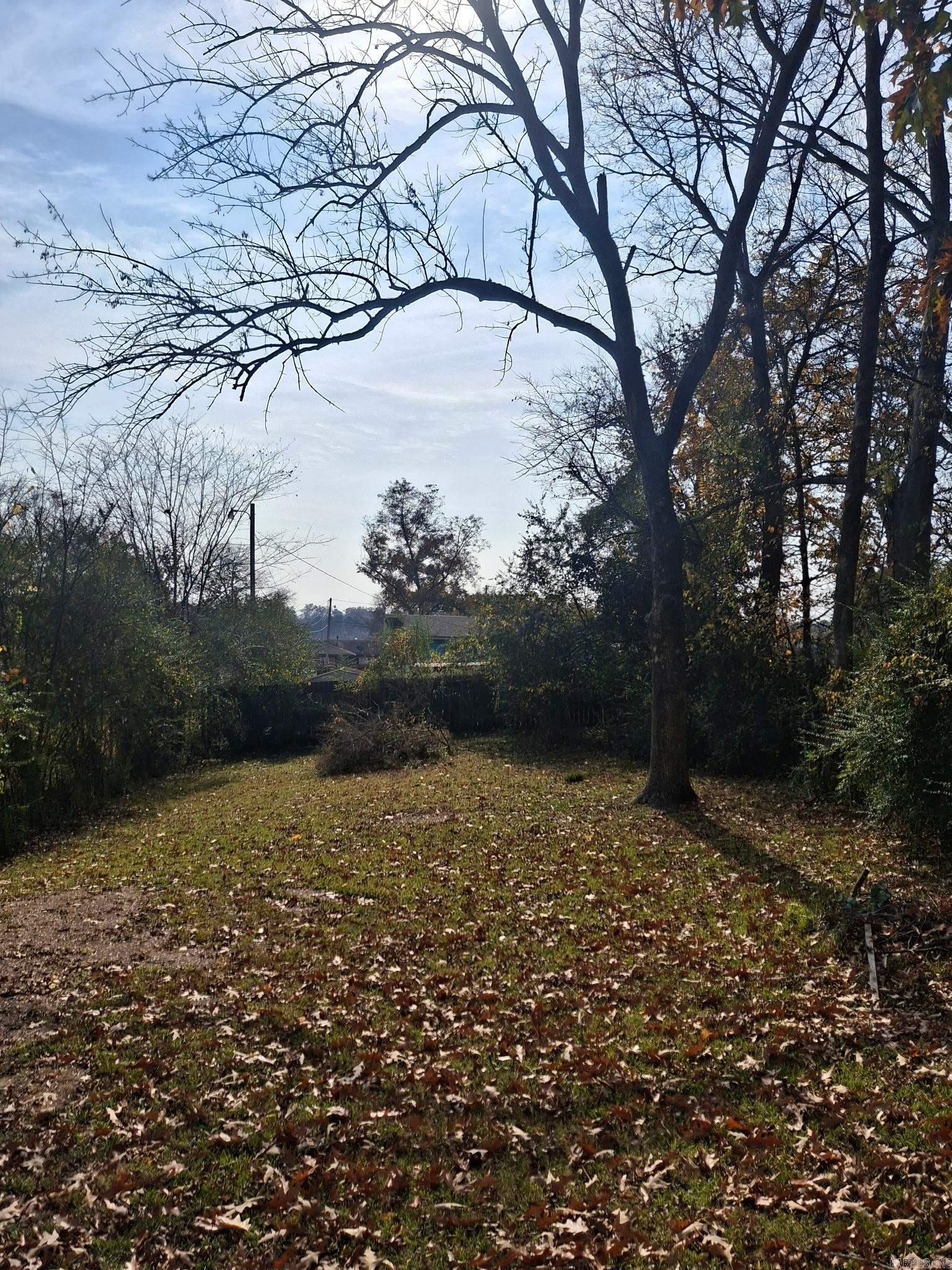 Carson Park - Residential