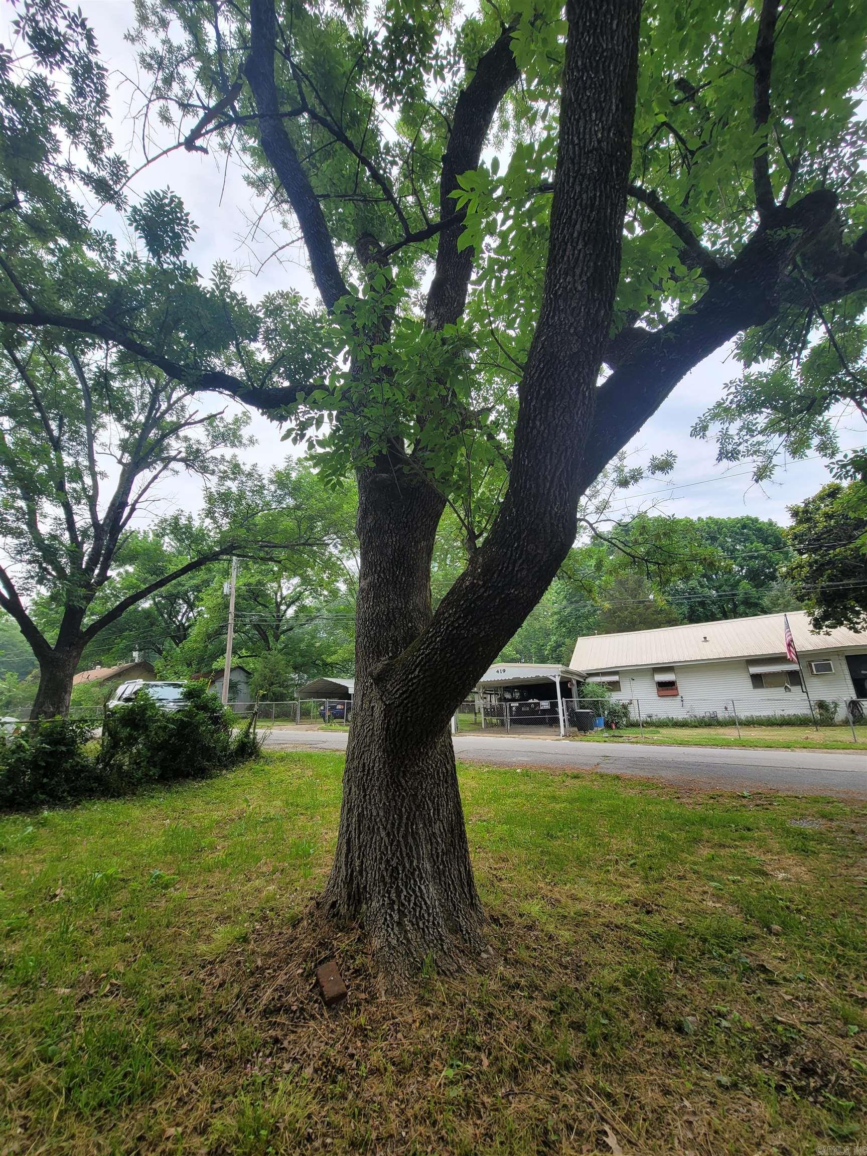 Carson Park - Residential