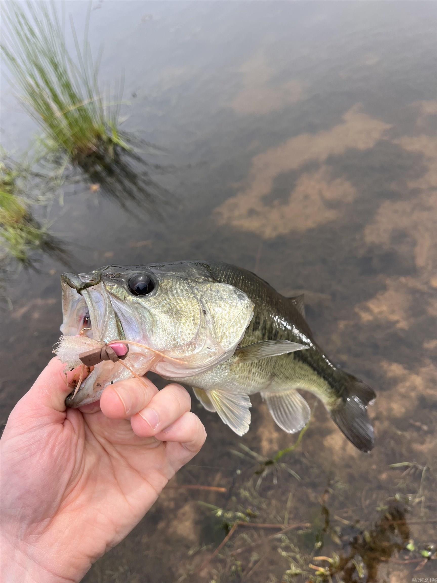 ARKA VALLEY AIR PA - Residential