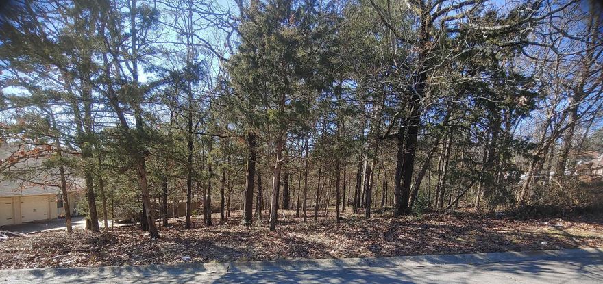 If you are looking for a nice place to build your new home, this is it! Mostly level at the front, then gently slops at the back. Good size lot at .36 of an acre. Backs up to wooded area. Subdivision utilities are available at the street. Square footage approximate, please measure.