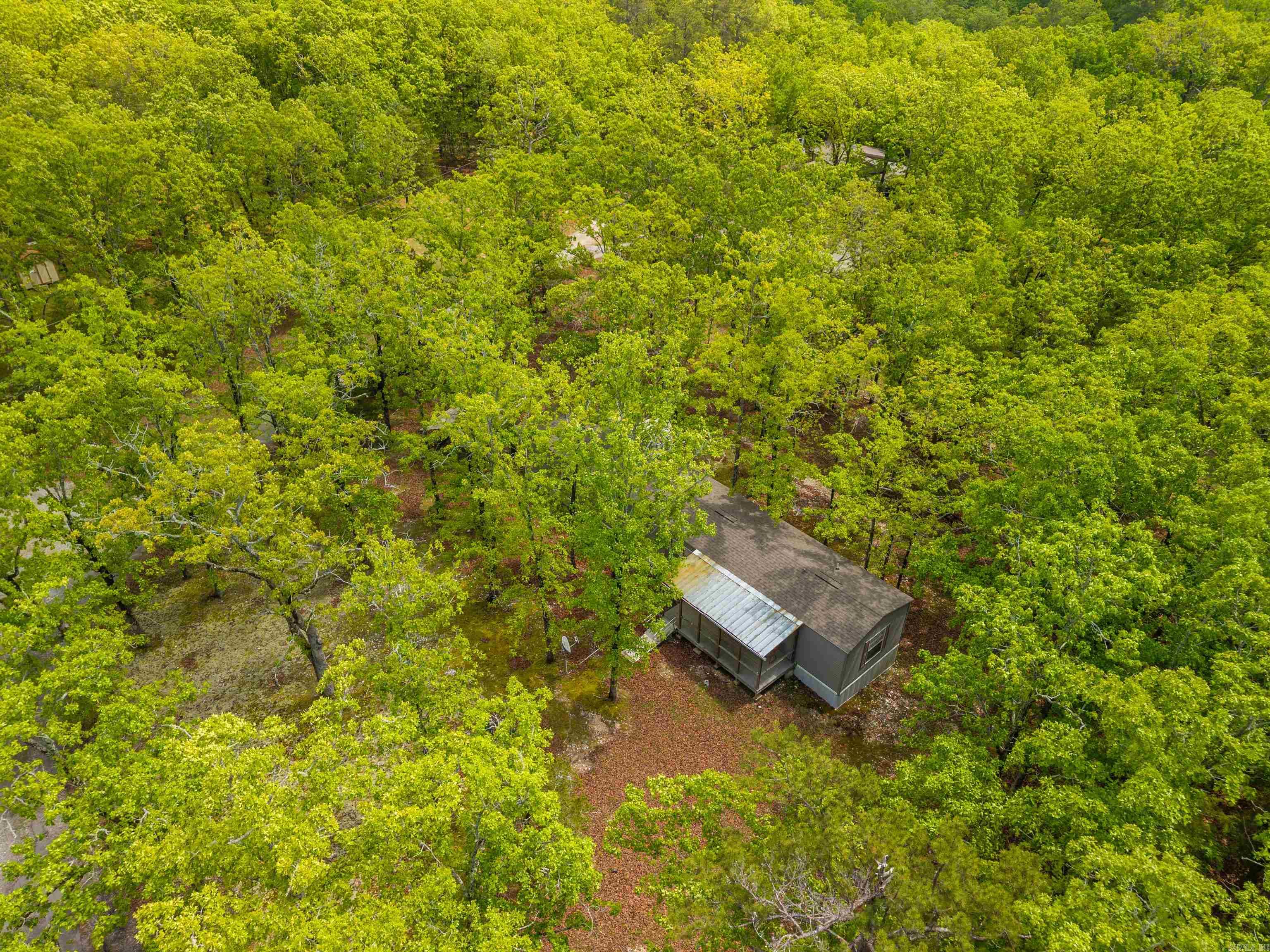 Little Fir - Residential