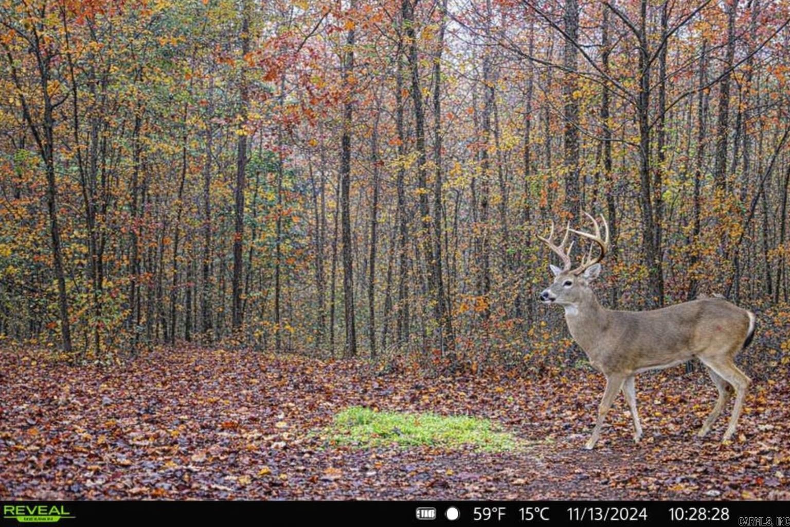 Metes & Bounds - Land