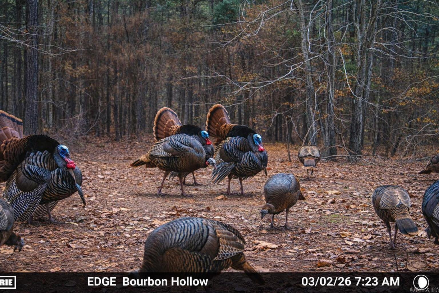 Metes & Bounds - Land